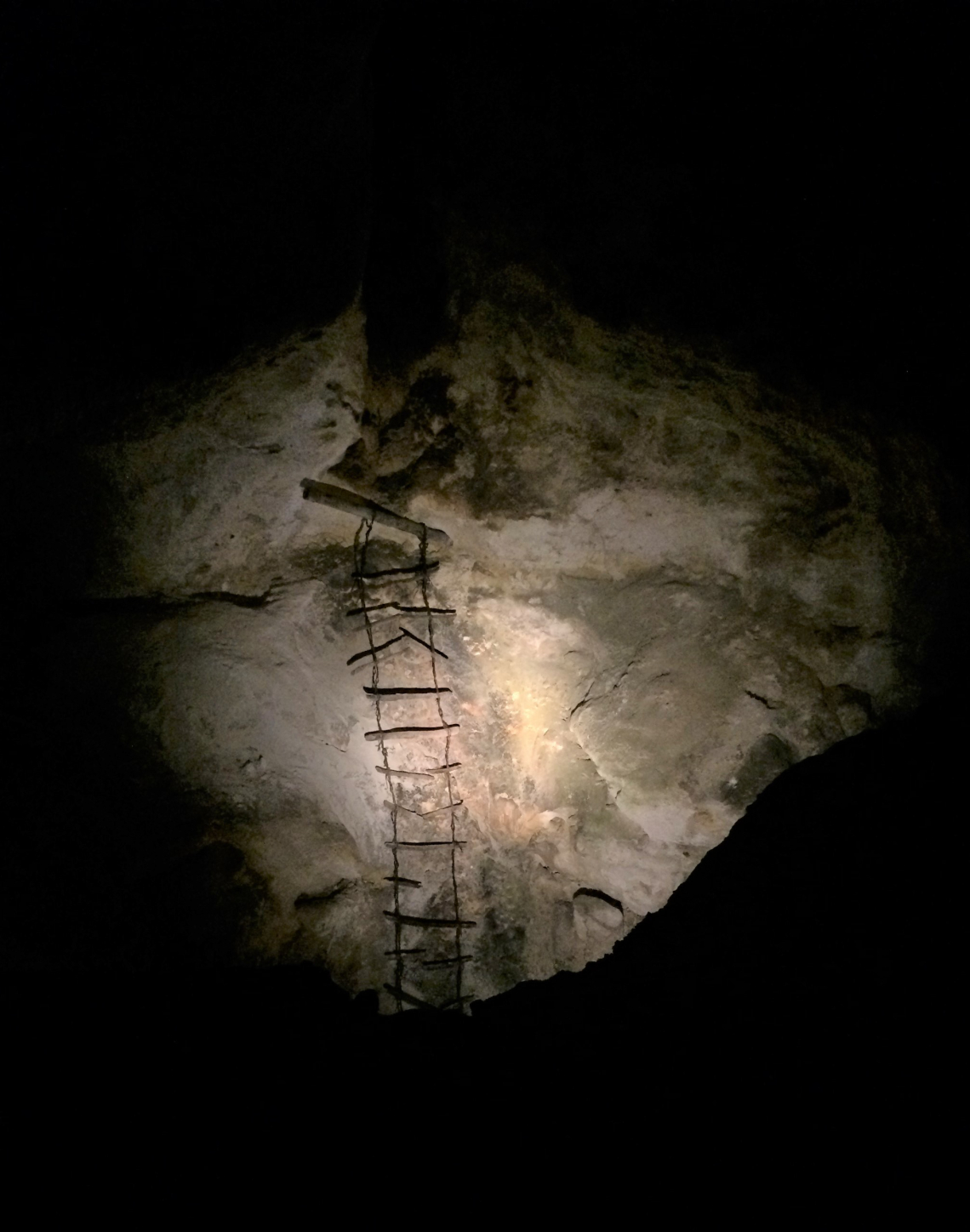 Ladder left in place from an early cave explorer. Passed multiple inspections.