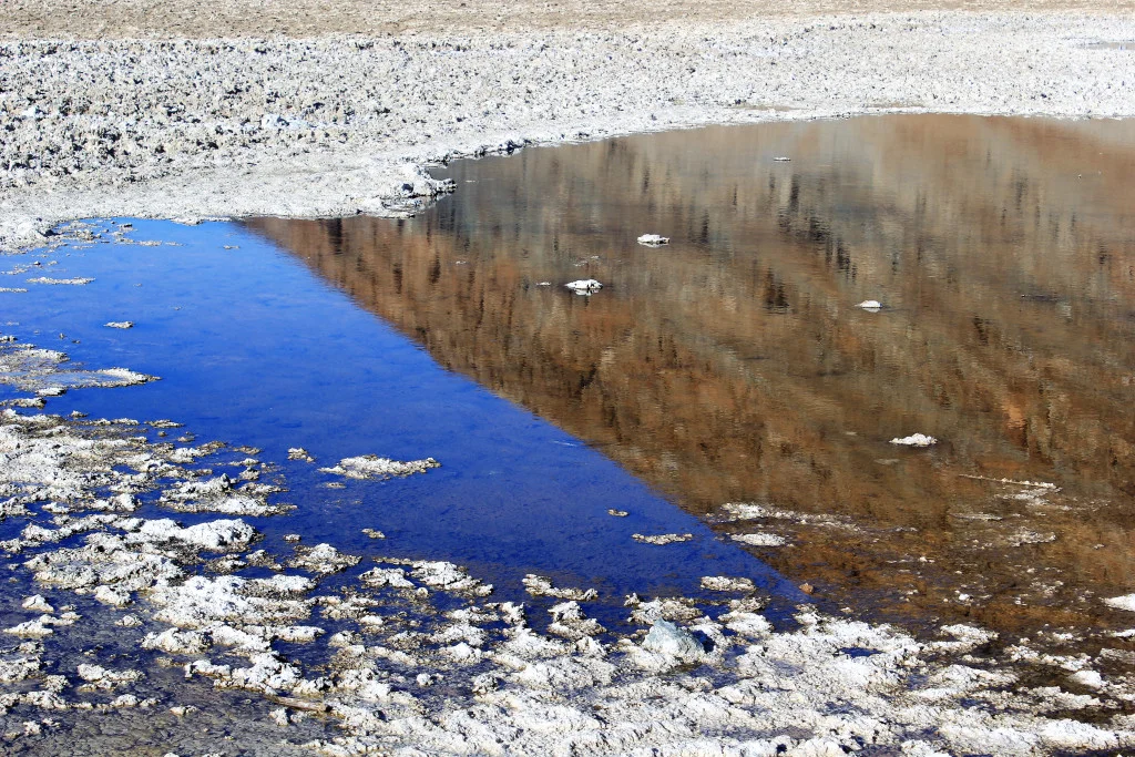 A small pool at the edge of Badwater Basin.