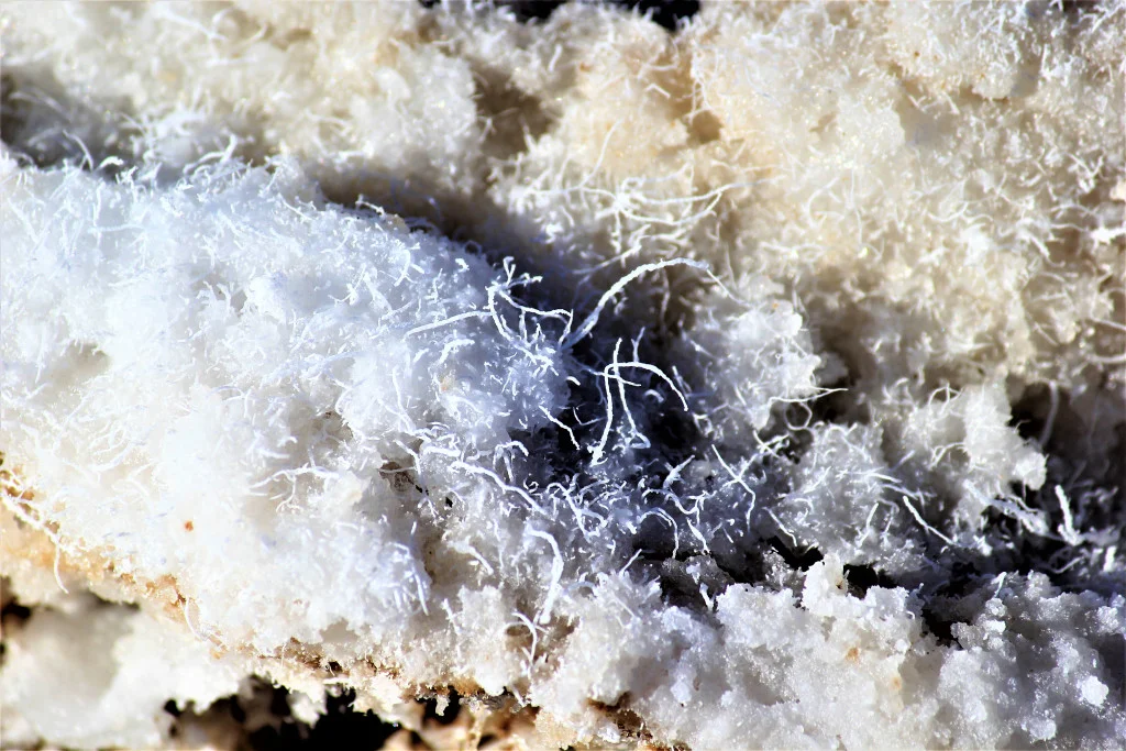 Salt crystals. Looks like salt. Tastes like salt.