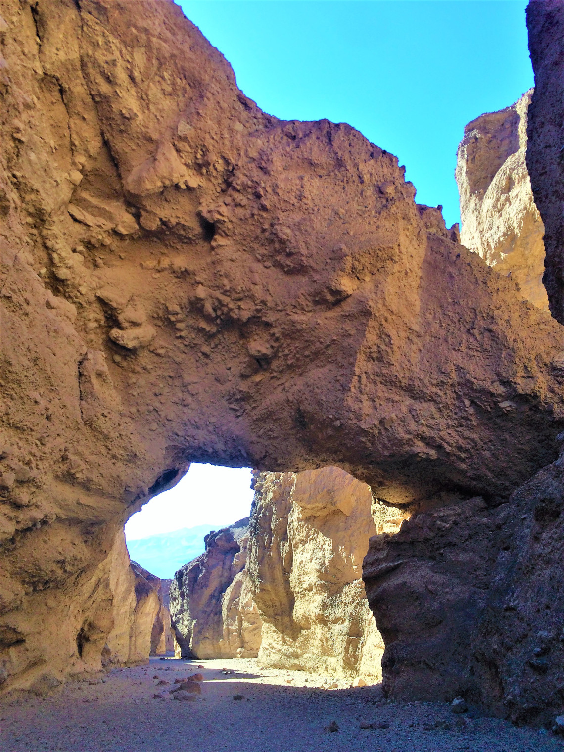Natural Bridge. A good precursor to what I am going to see on a much grander scale in Arches NP.