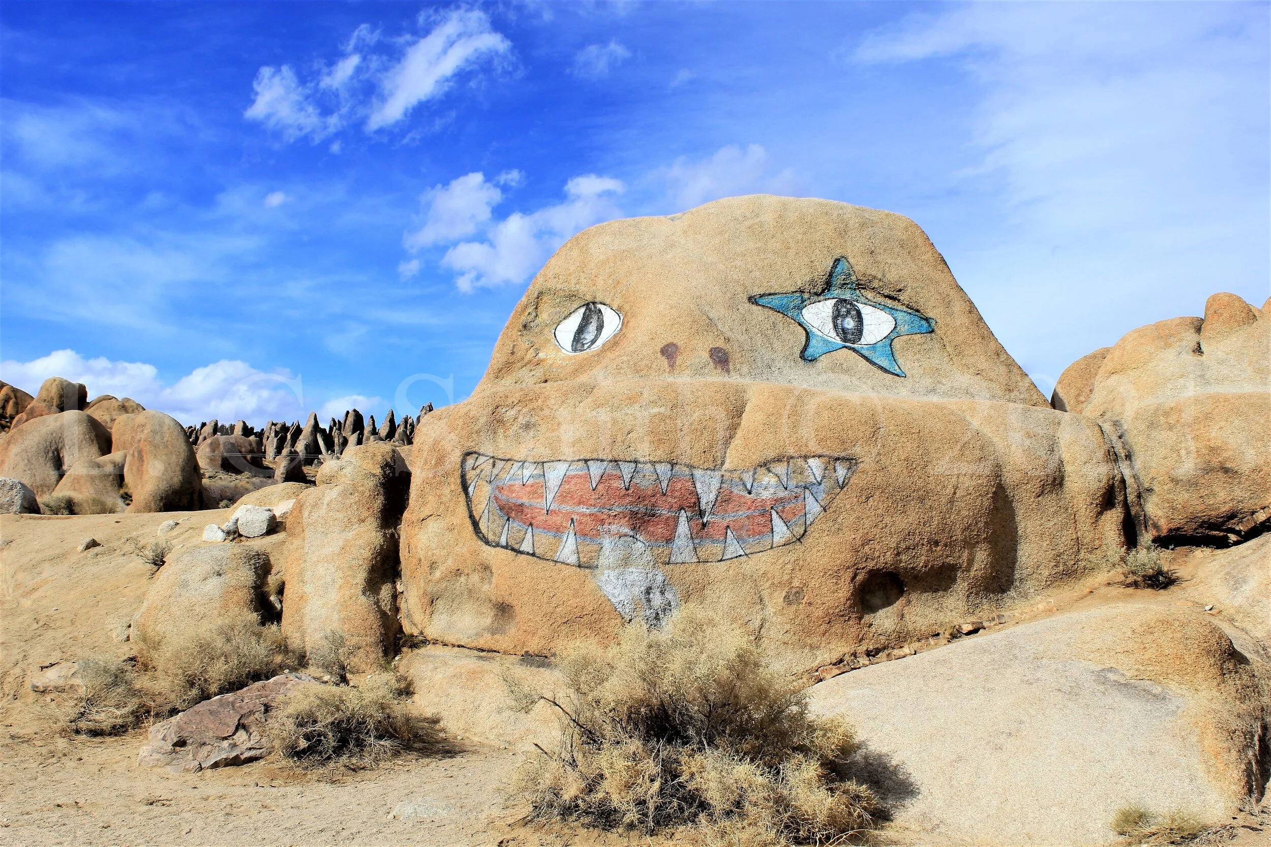 Face on Rock - Lone Pine, CA
