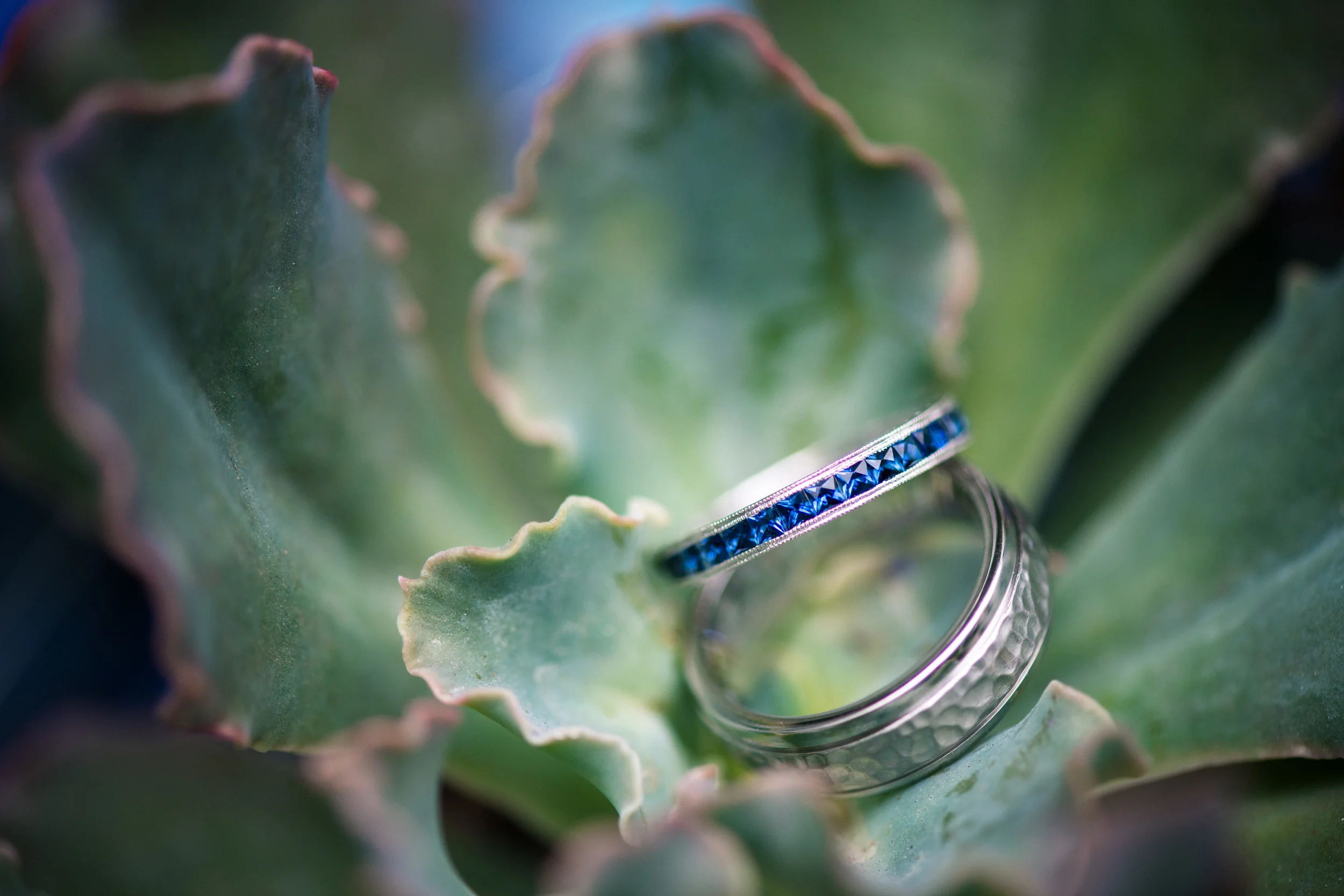 The rings.