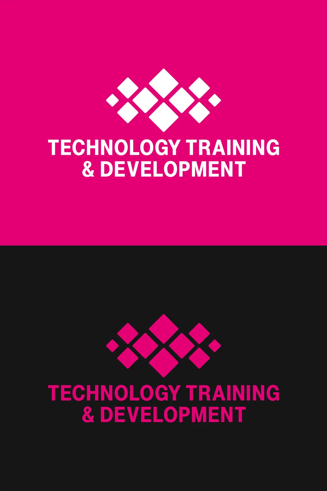 TTD-LogoDisp.jpg