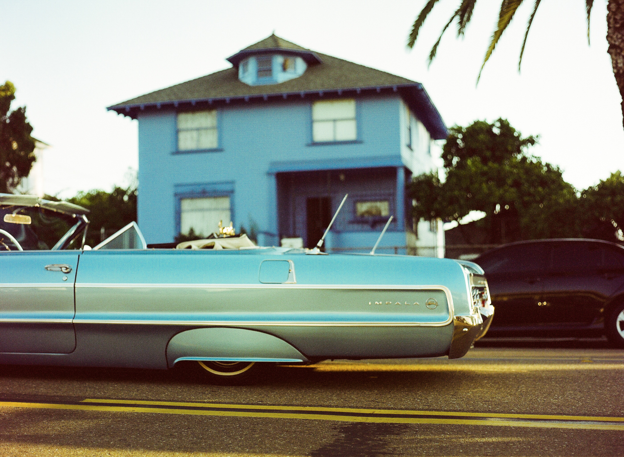 Paddock_Devon Saunders_Lowriders_10.jpeg