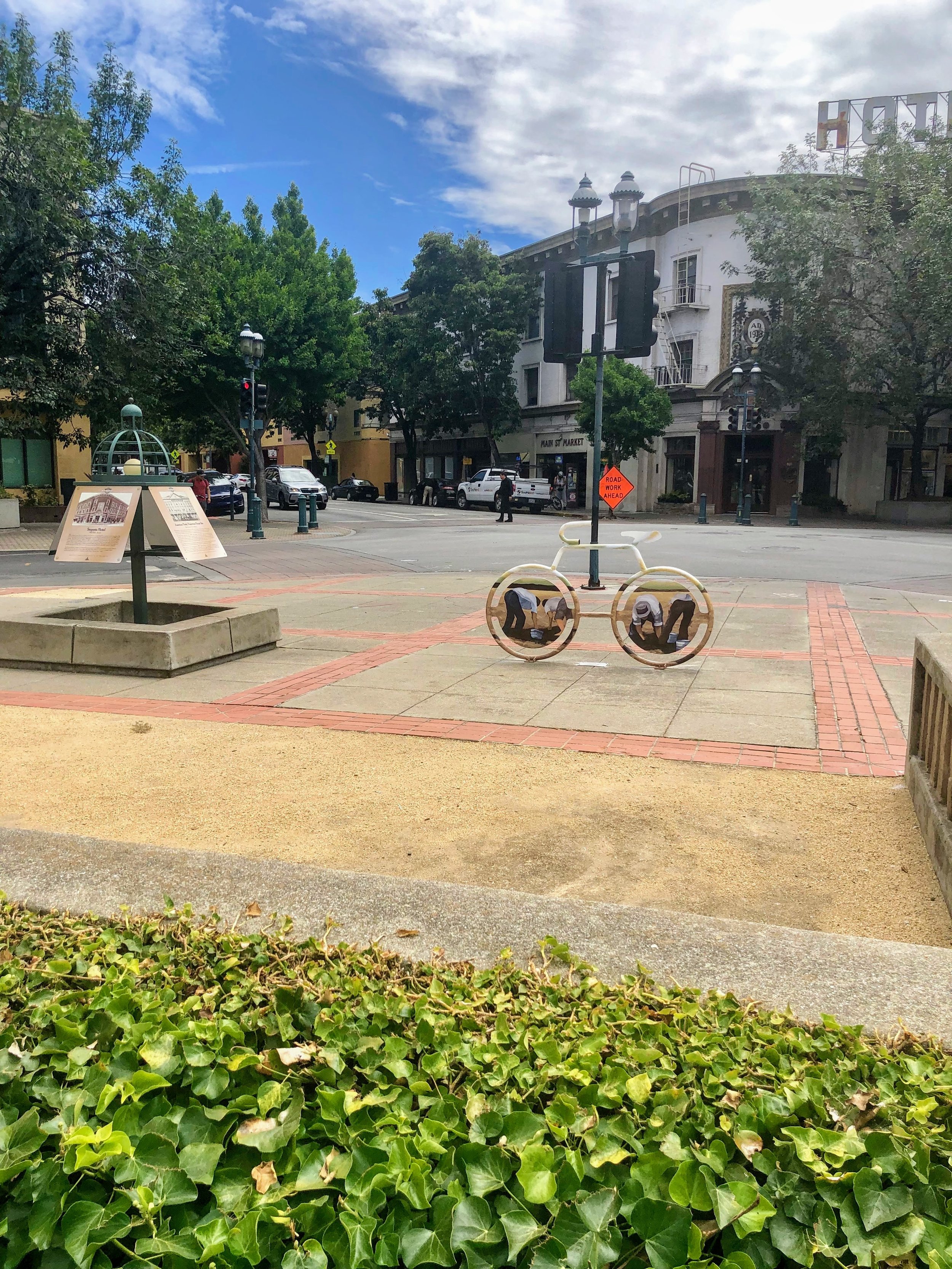 Bike Rack Mural_Side 1_plants Talavera-Ballón.jpg