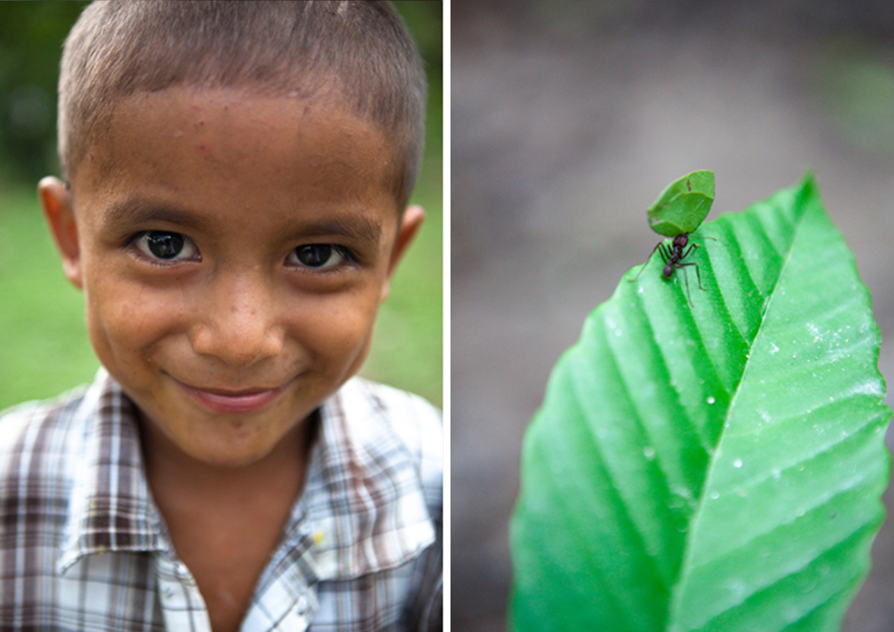 Belize, 2010