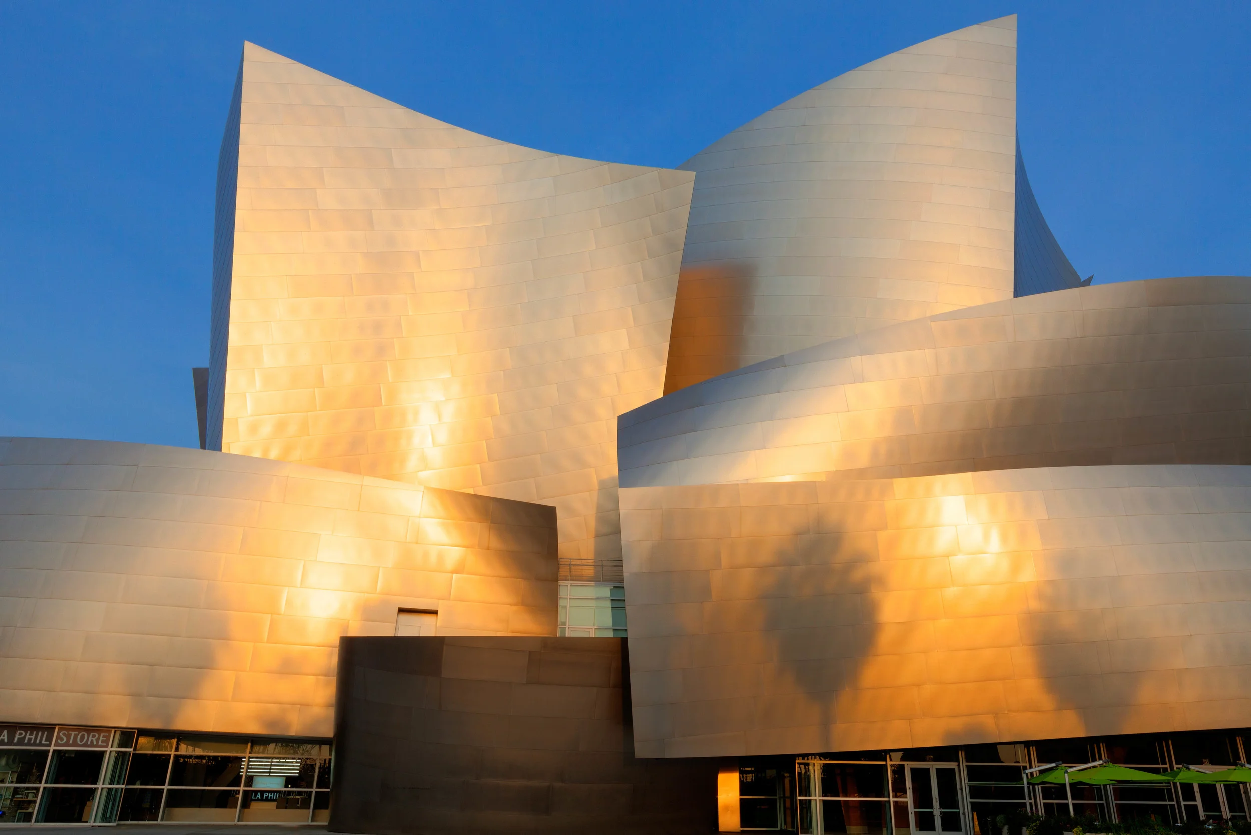 Shadows of Palm Trees Disney Concert Hall