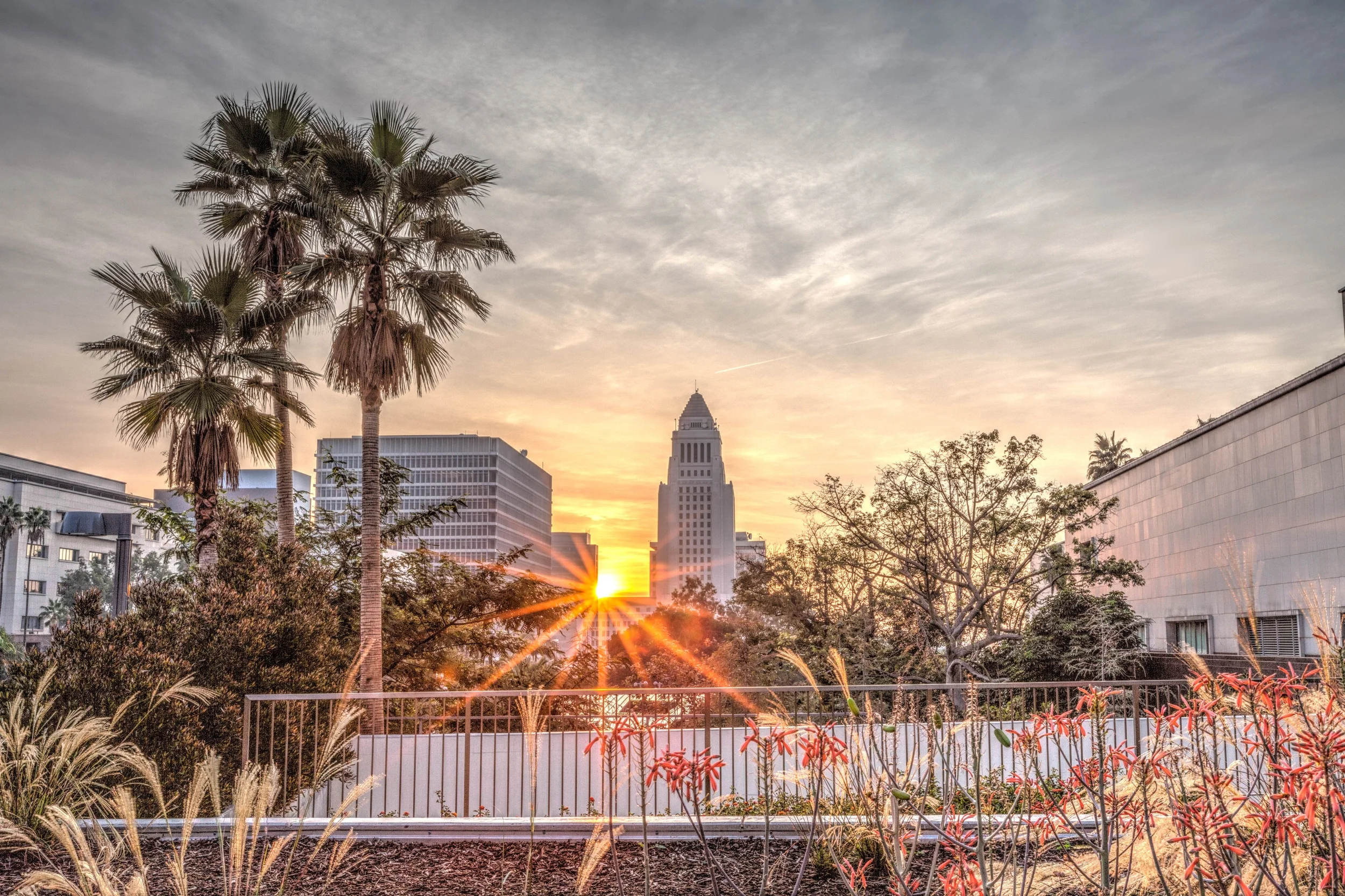 Sunrise on City Hall