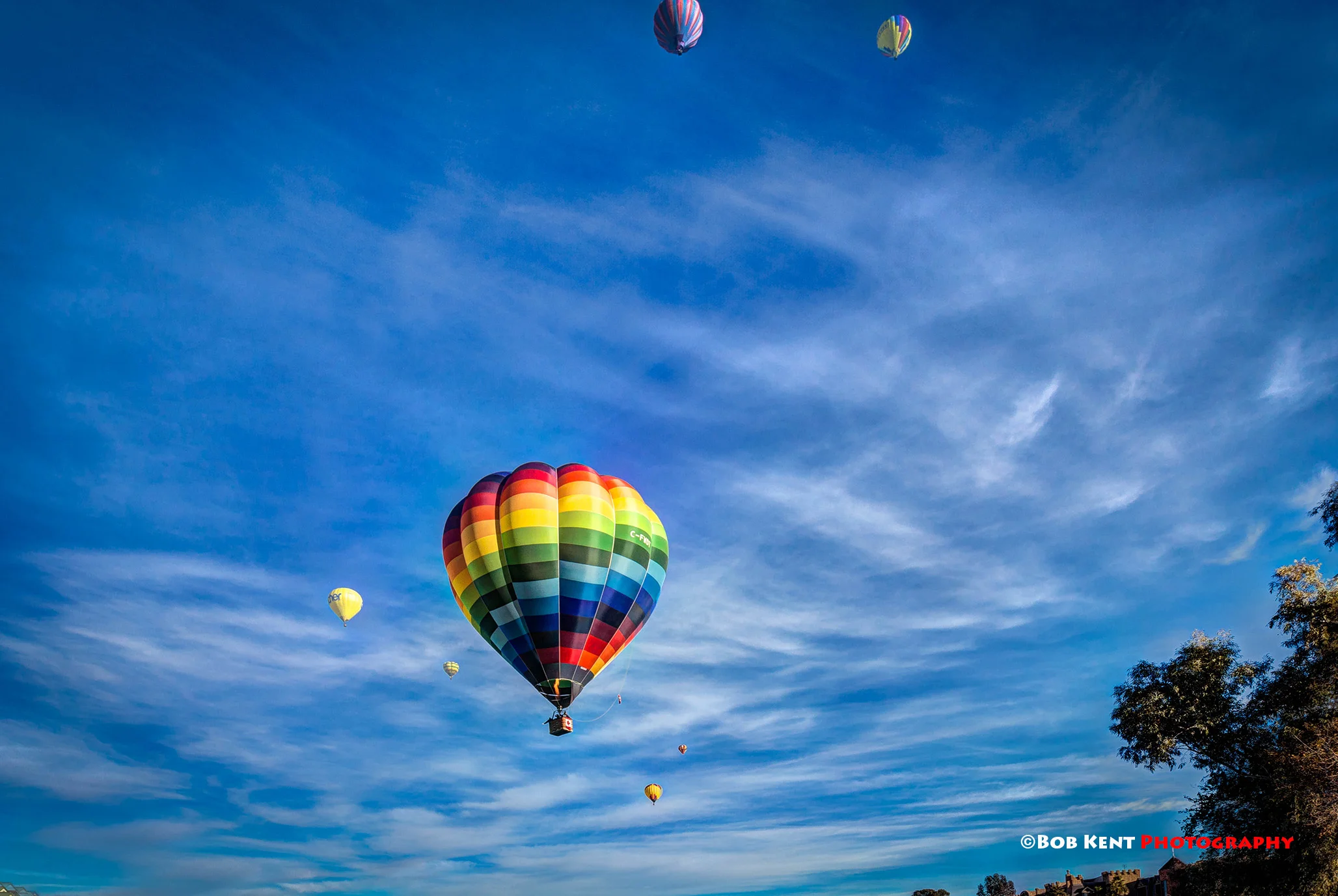 Aurora Borealis stands out in a big sky!