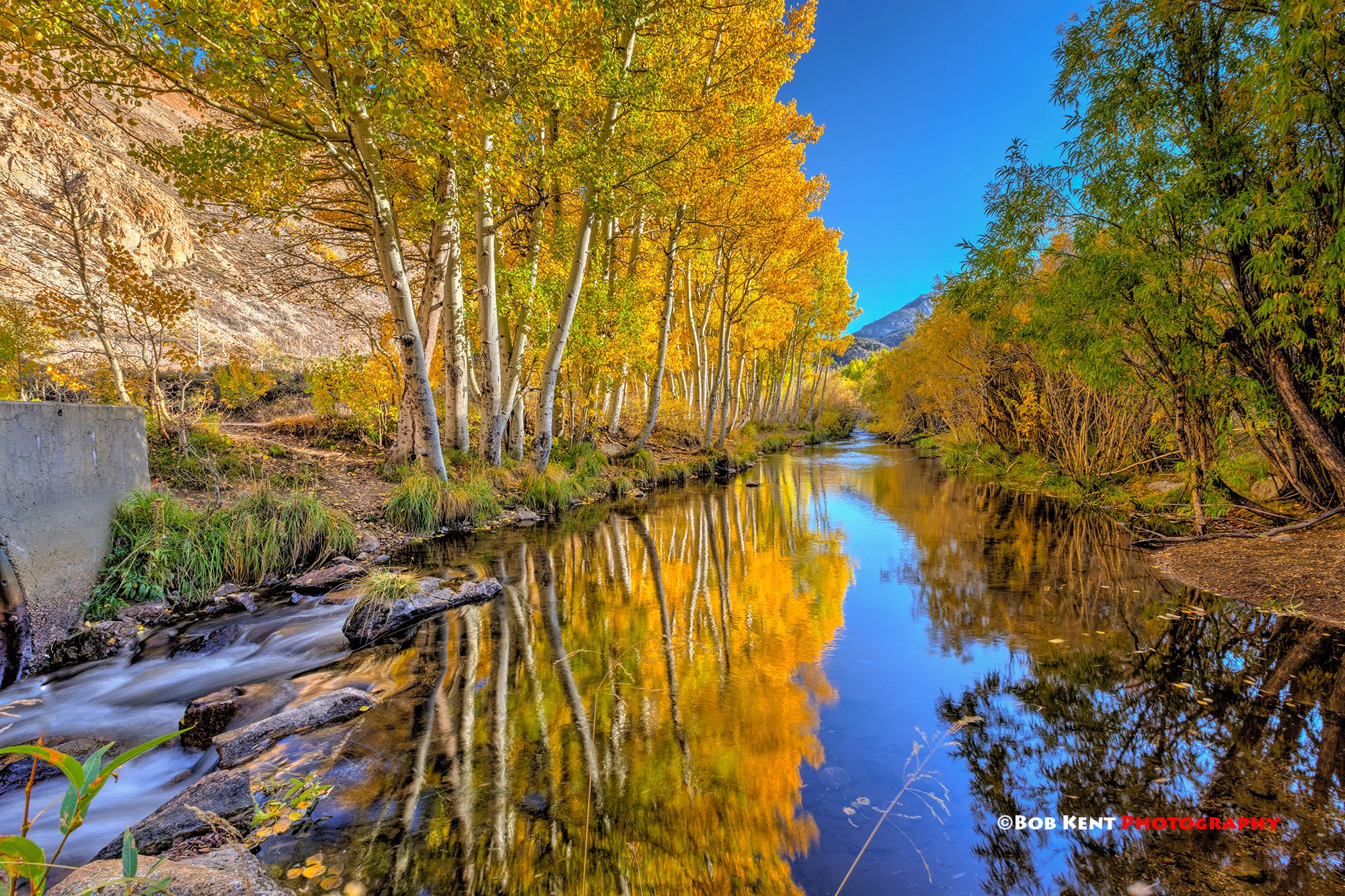 Unbelievable - Time again for Fall Colors