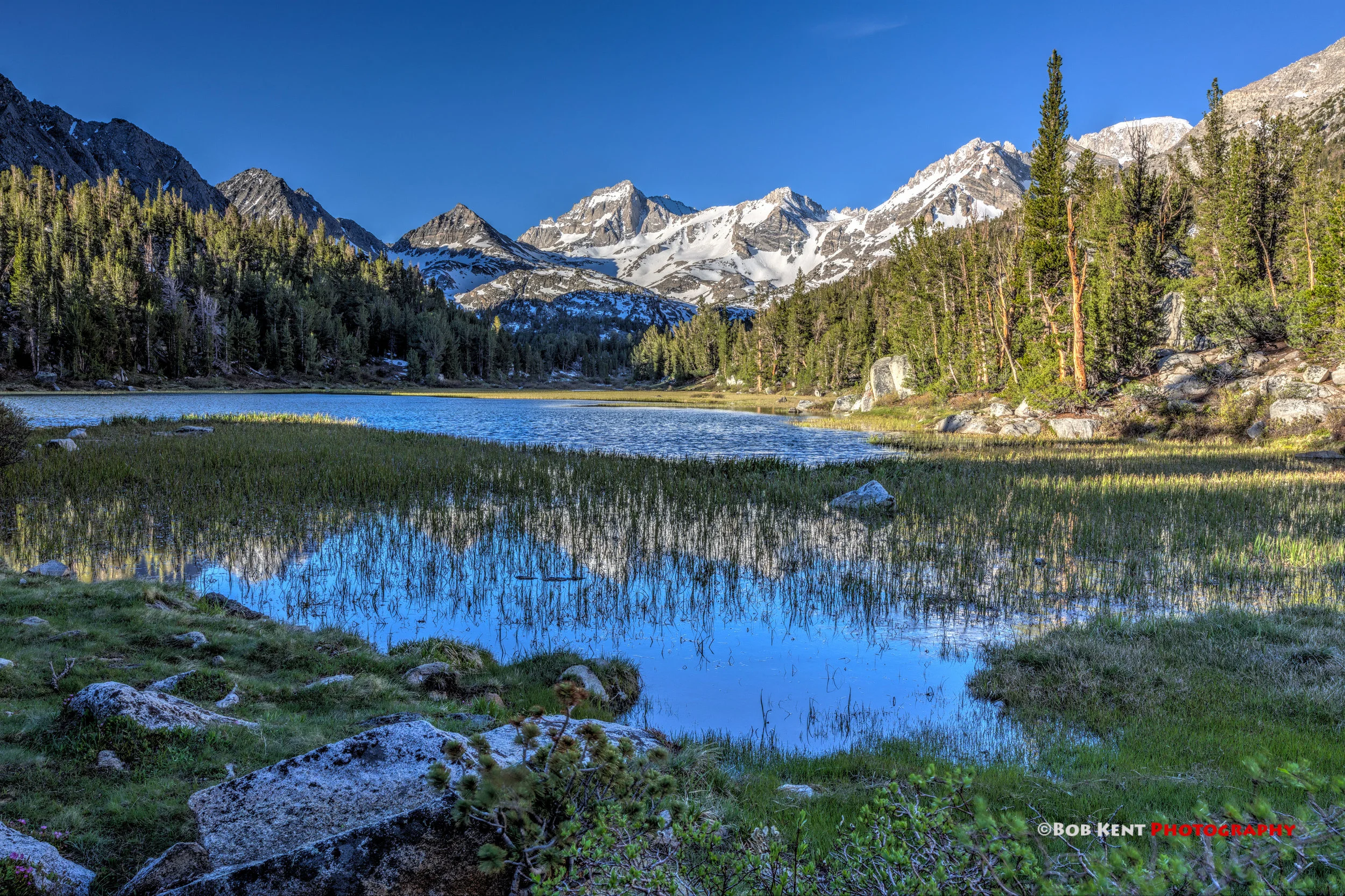 What a Summer! Looking Back as We Move To Fall