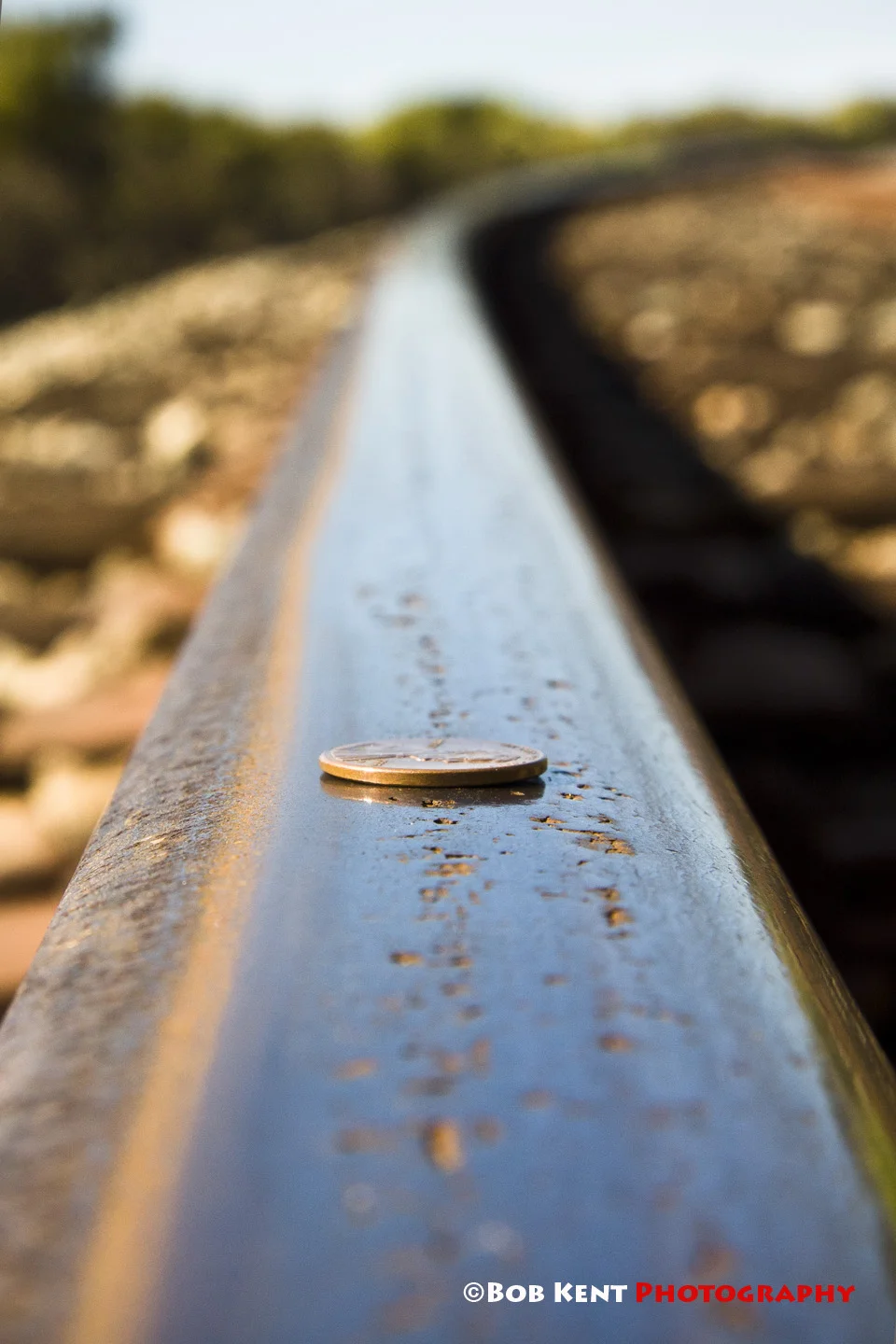 Penny on the Tracks