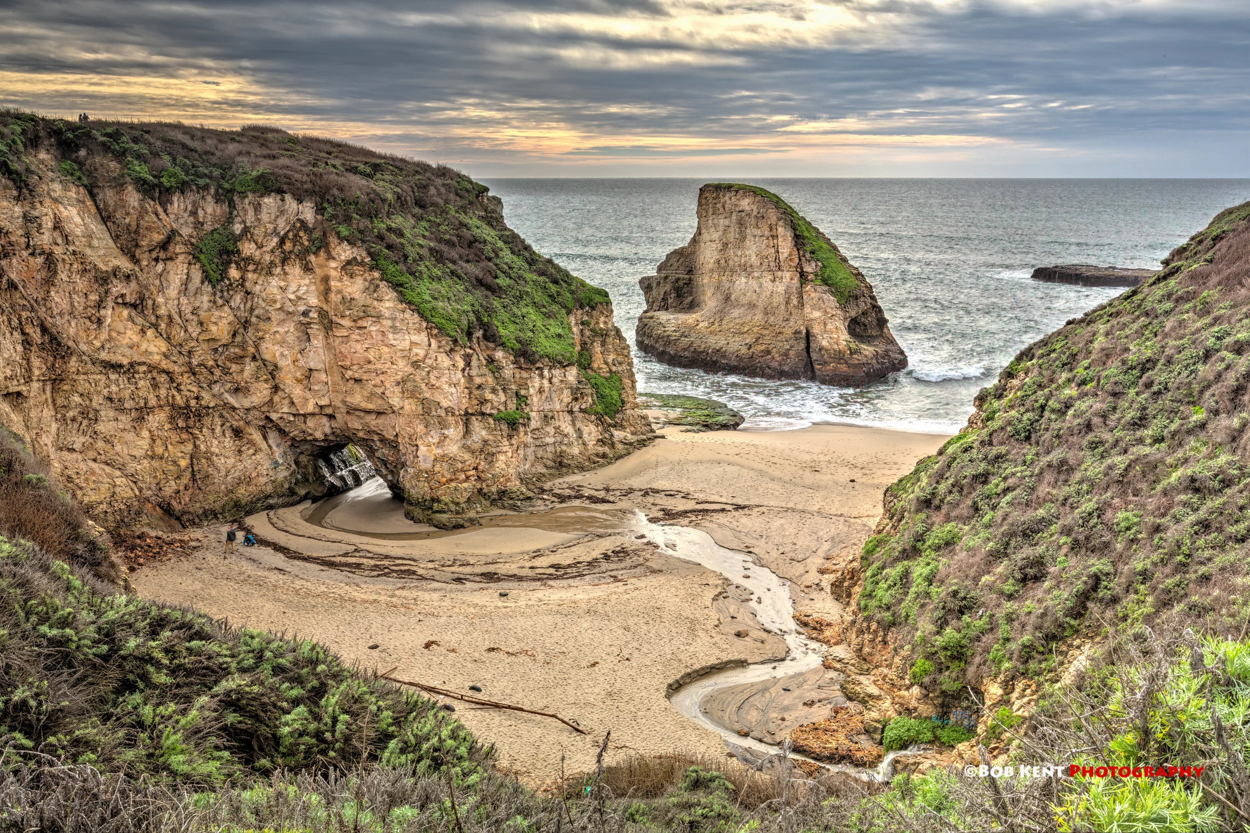 Shark Tooth Cove I