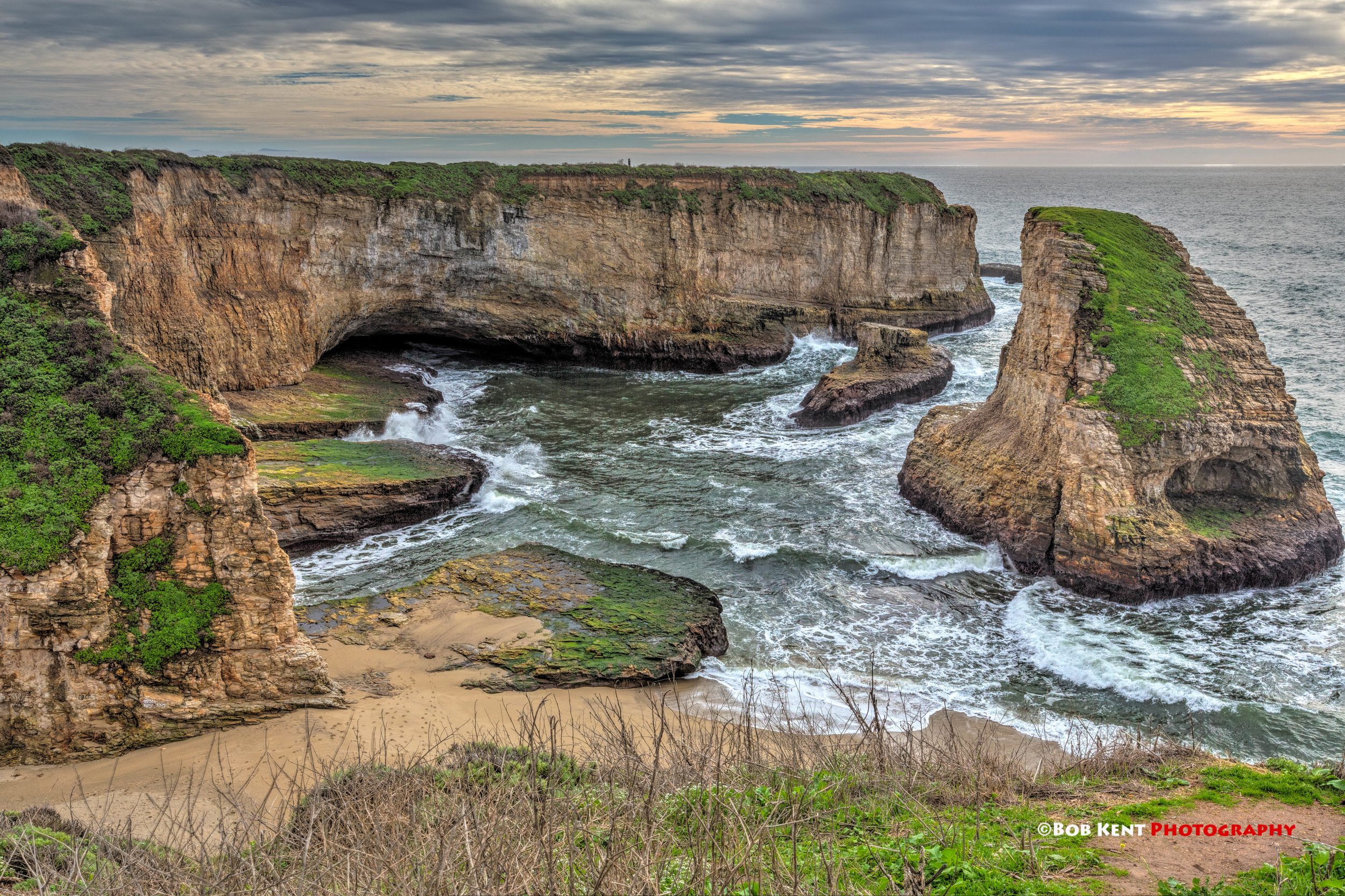 Shark Tooth Cove II