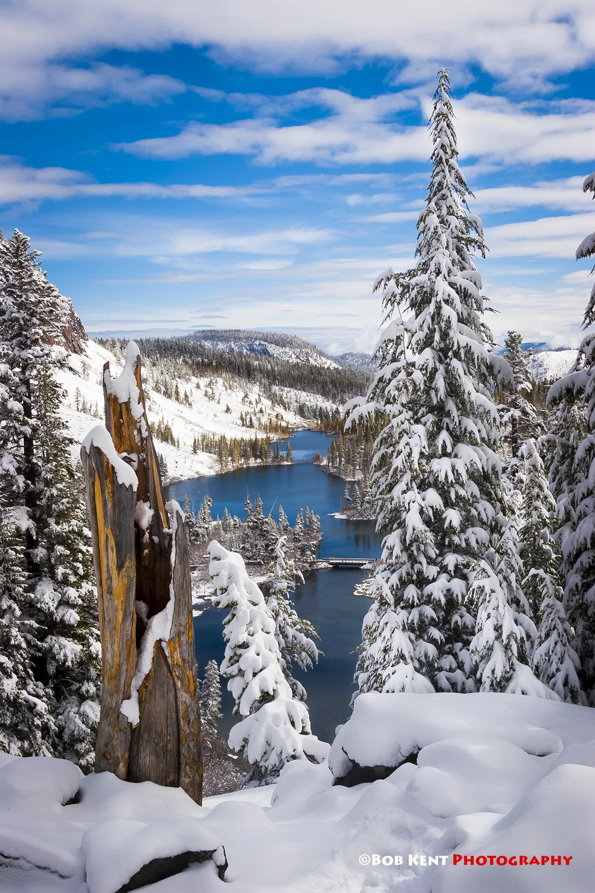 Cannot Fight It Might as Well Join It