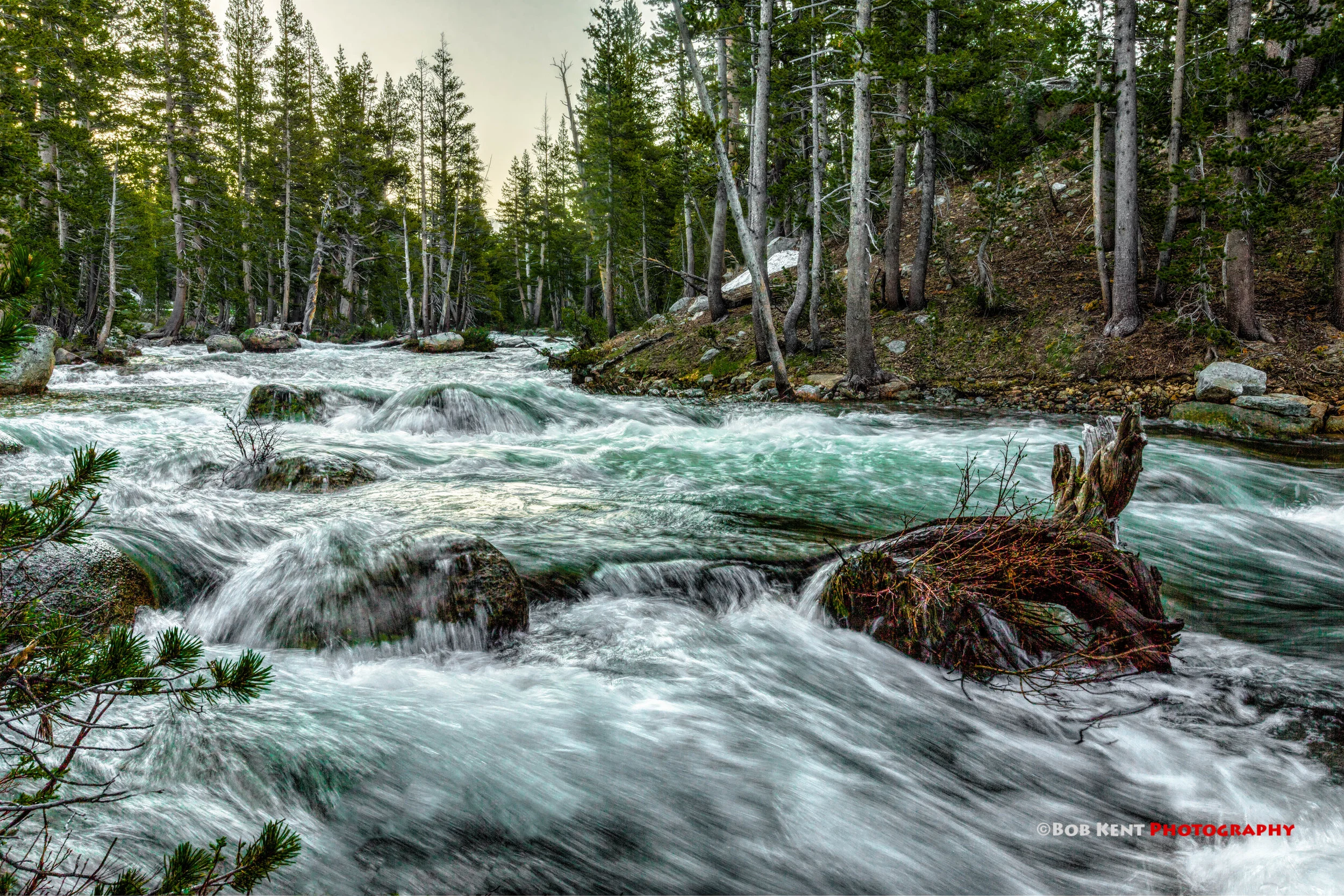 The Streams are Alive