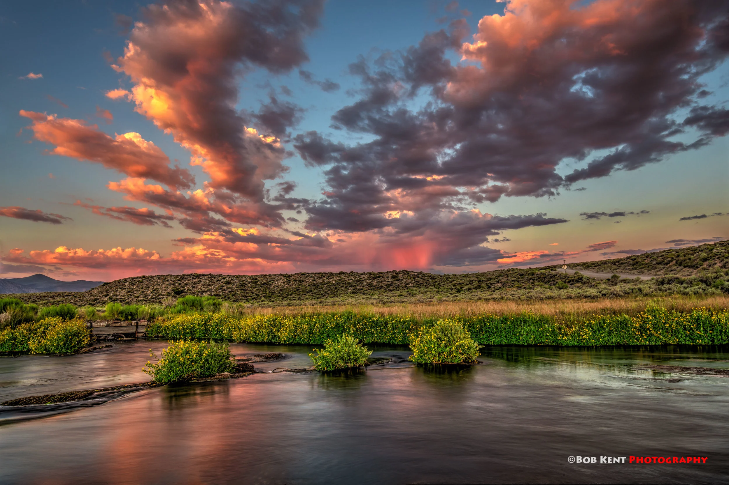 My 12 Best Images of 2018