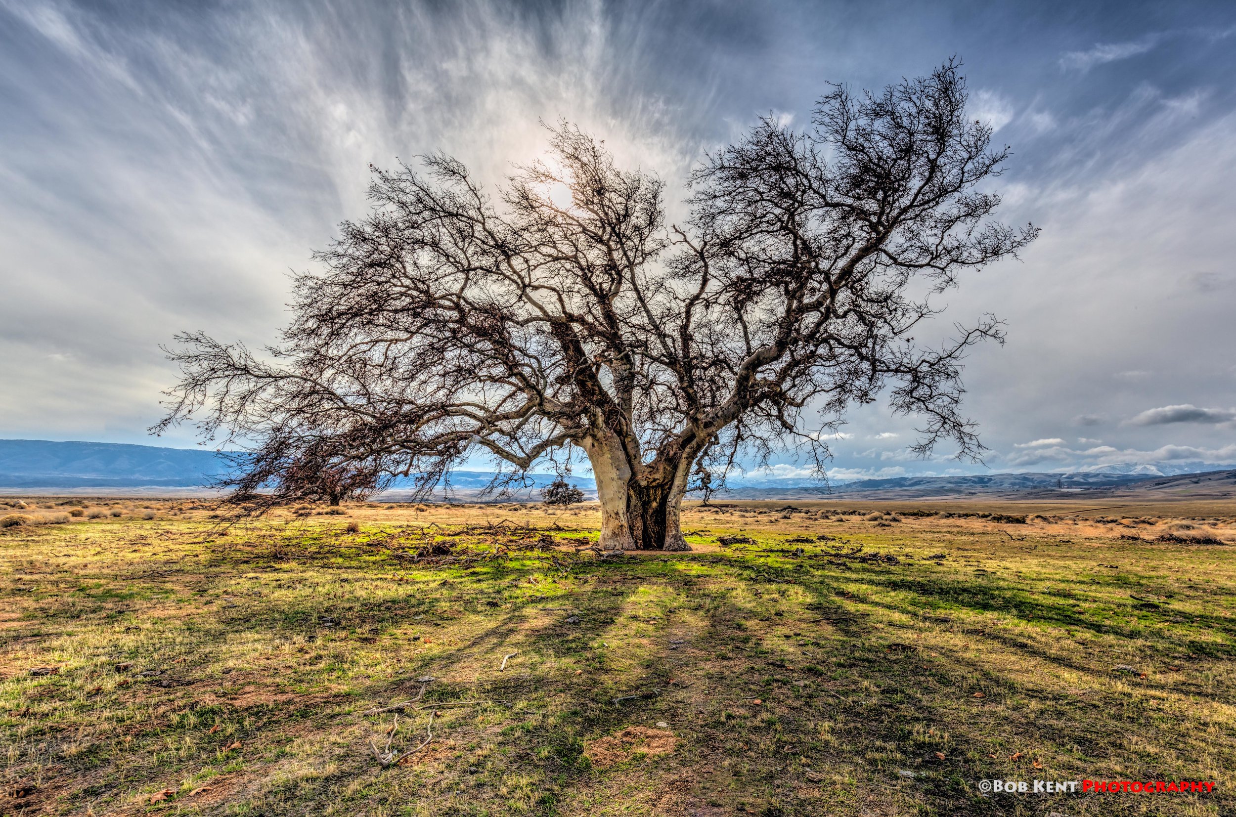 Nature’s Vastness is Good for Our Souls