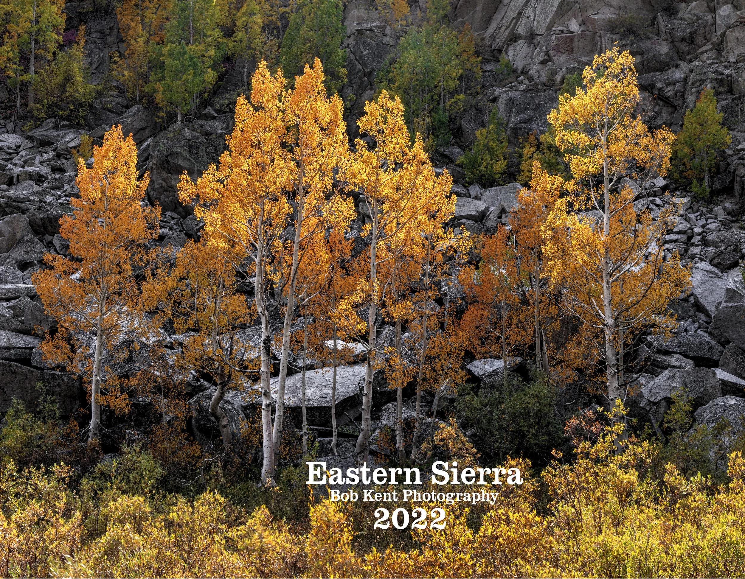 Five Reasons to Buy a Wall Calendar