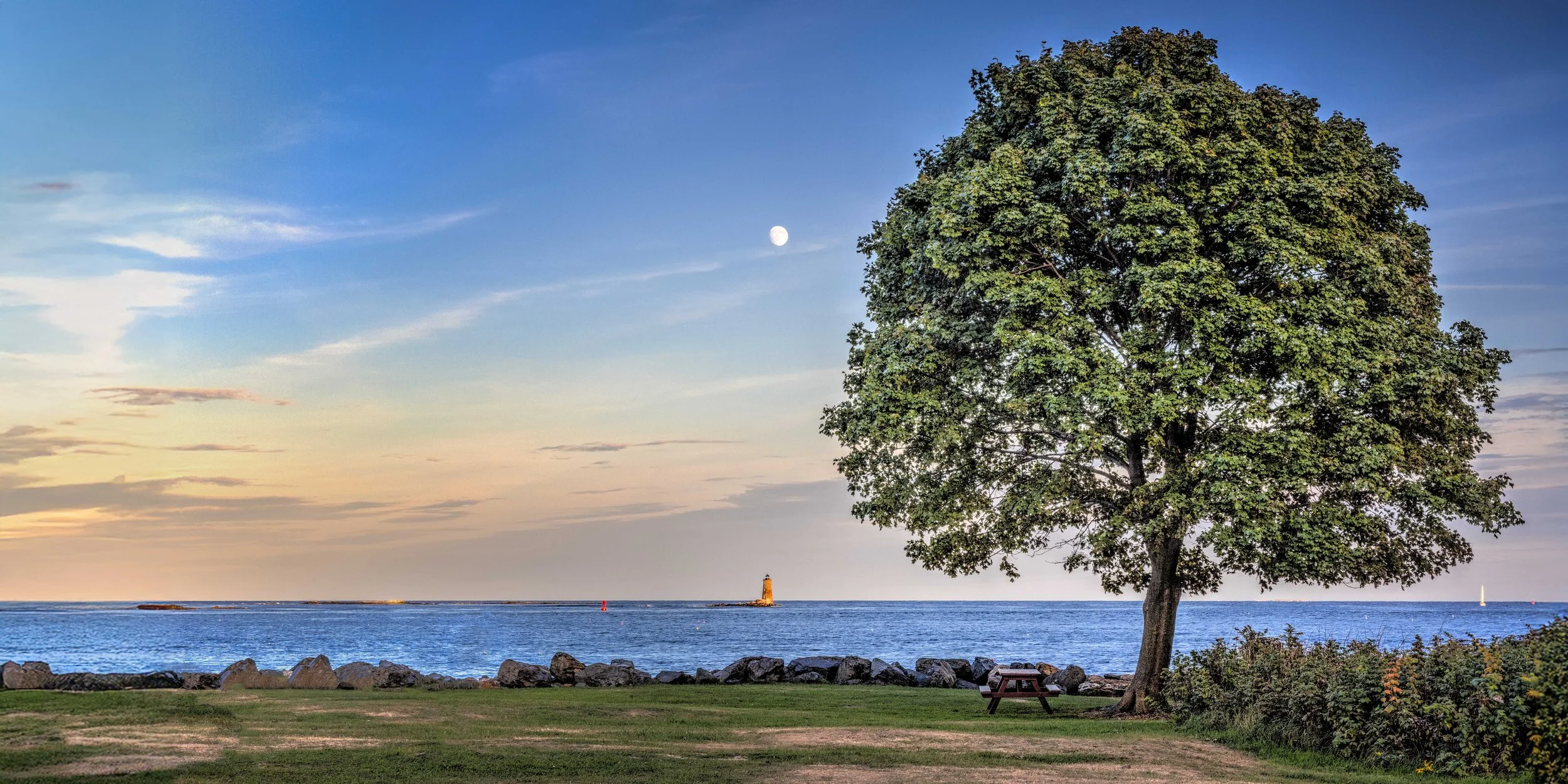Portsmouth Tree and Moon V3.jpg