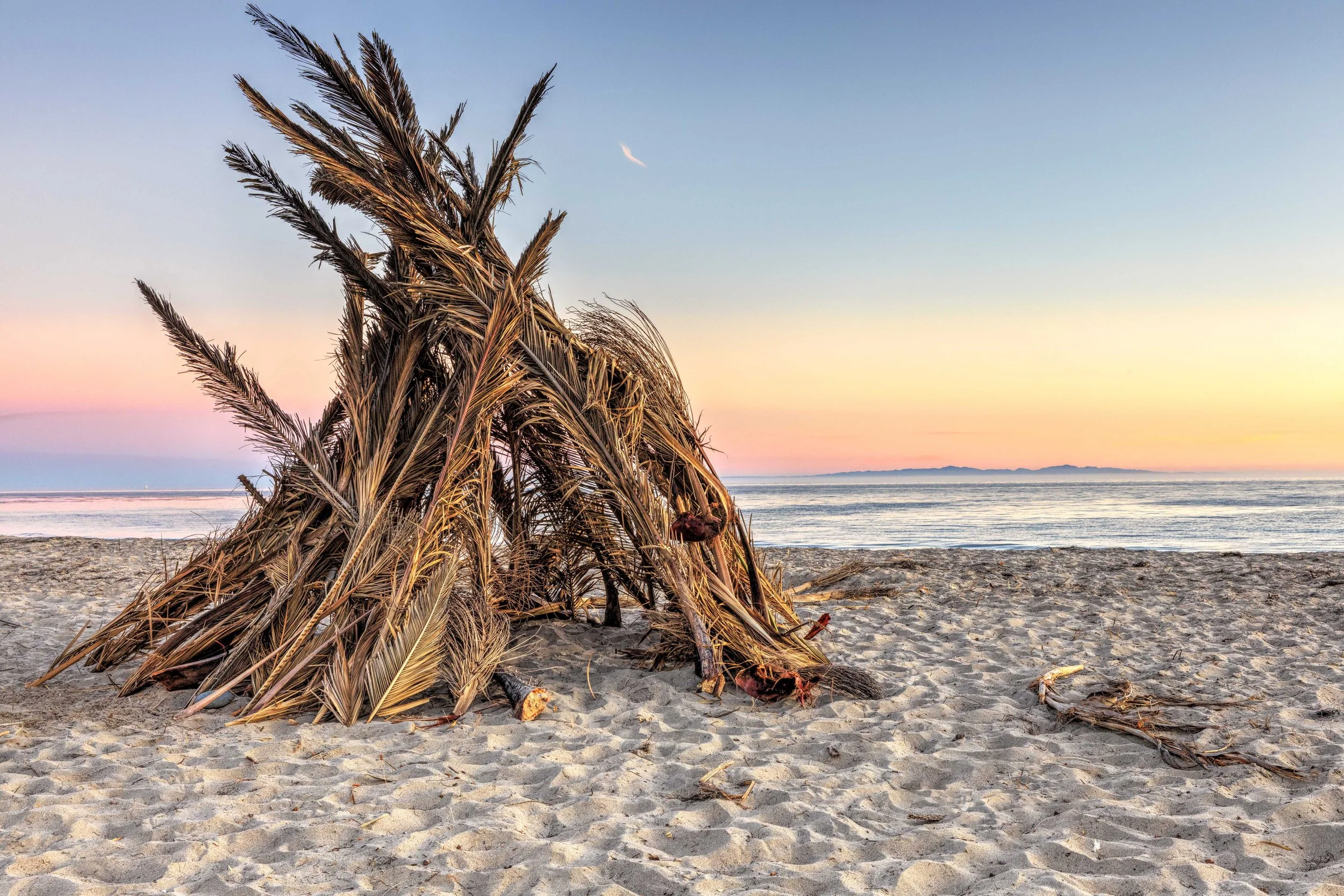 Refugio Christmas Tree I -2103 18x12 Final.jpg