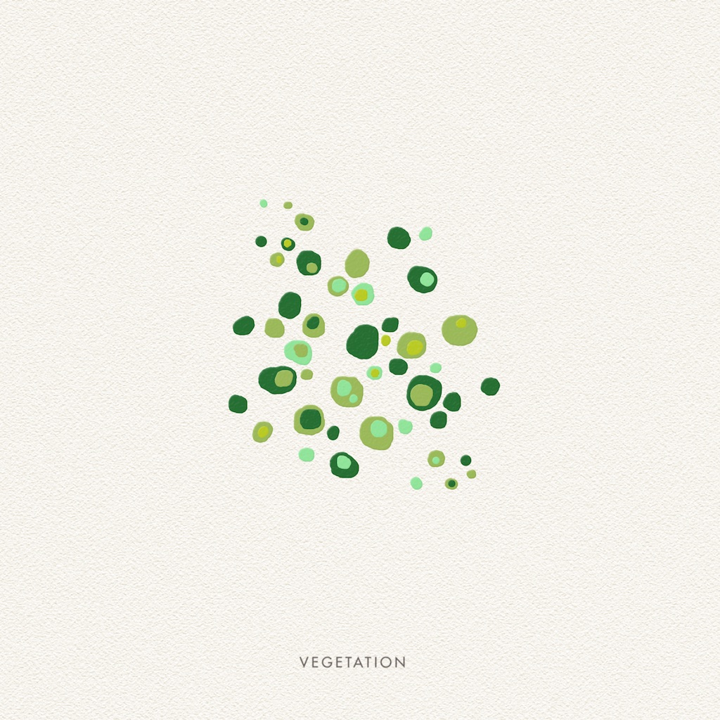 Vegetation