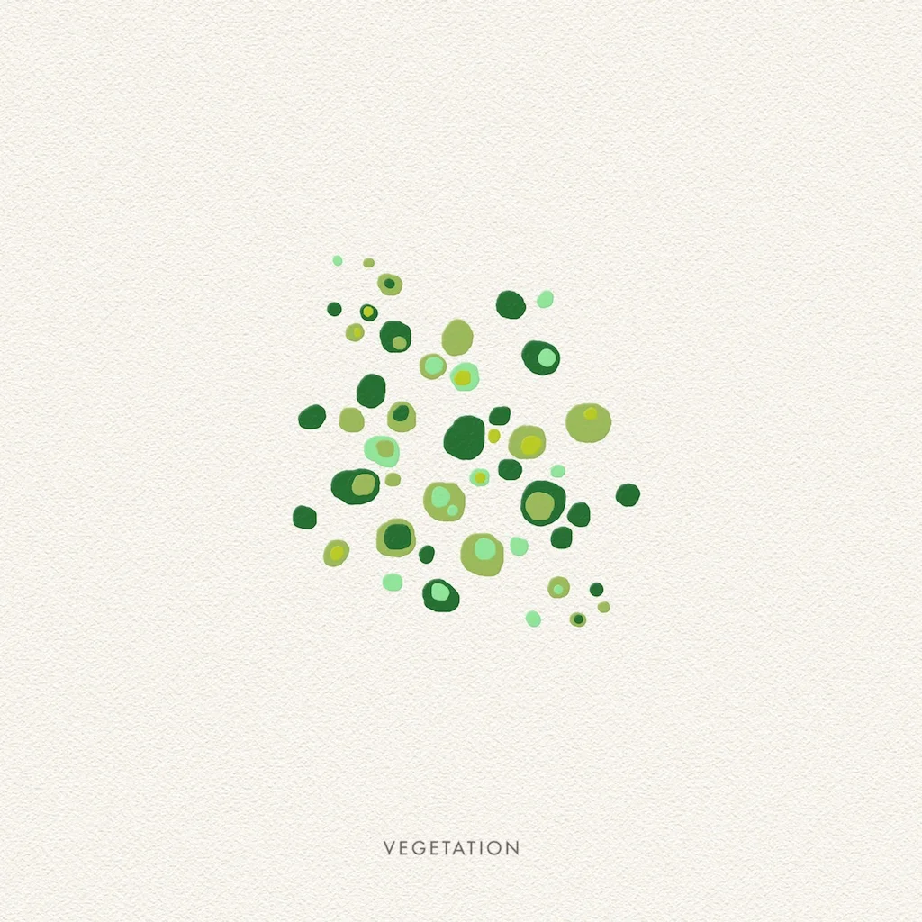 Vegetation