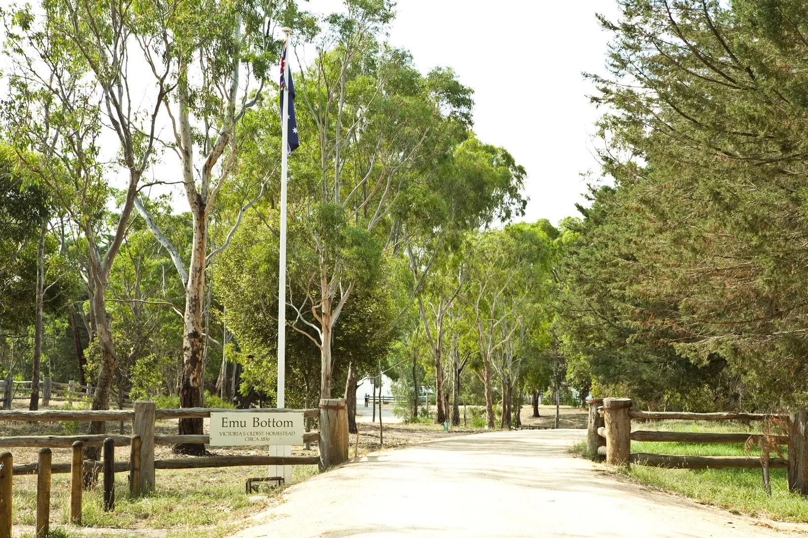 20100116-_MG_7122.jpg