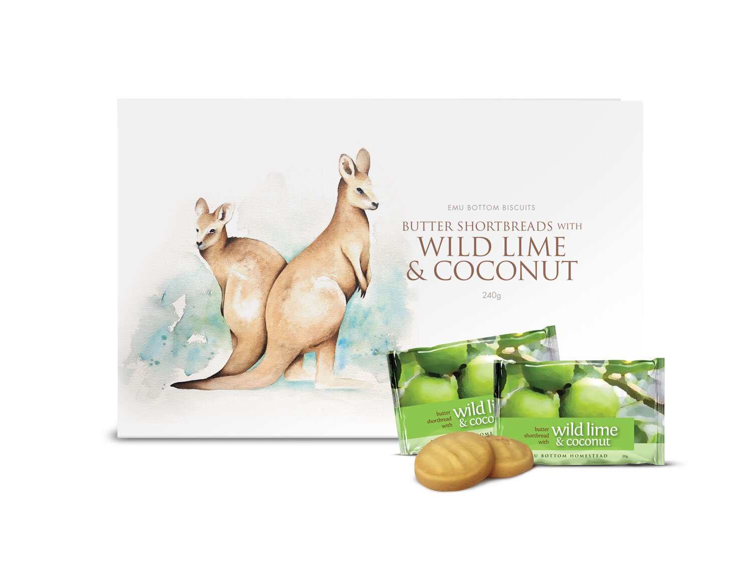 EBB-lime-box-RENDER-FNT.jpg