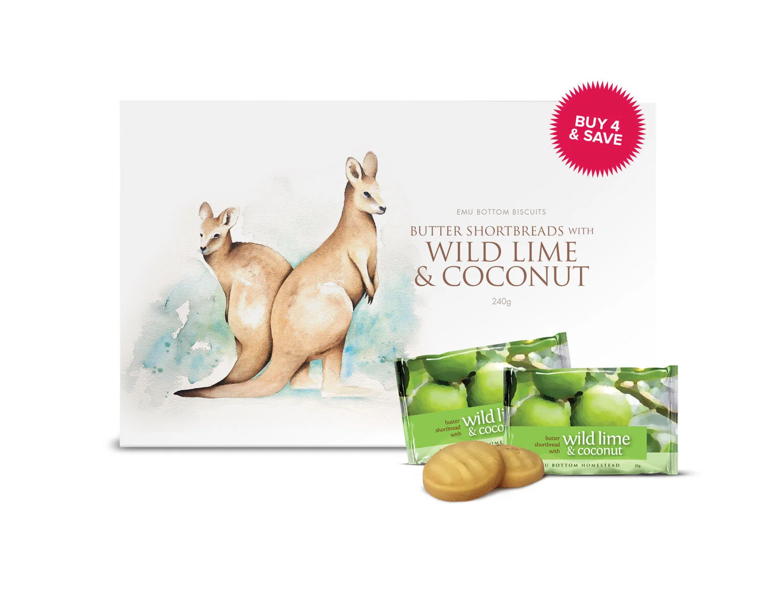 EBB-Lime-box-RENDER-FNT_LOWer_4pack.jpg
