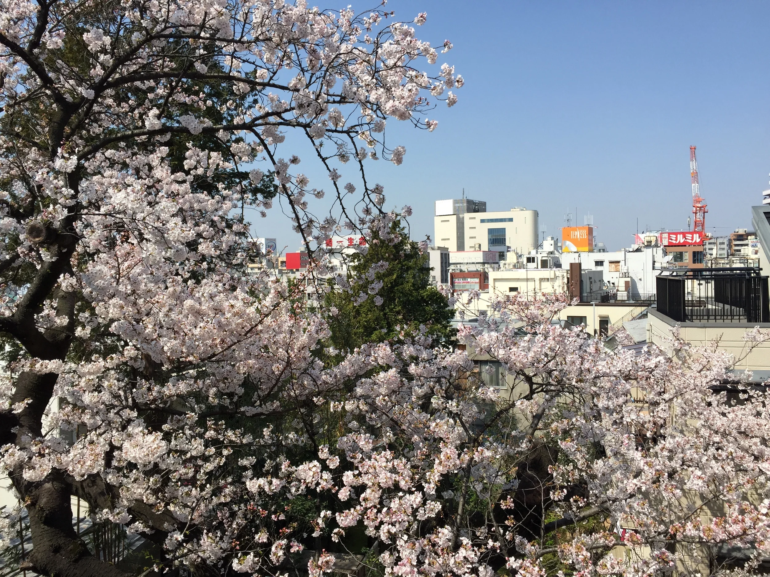 Viewfromthebalcony.jpg