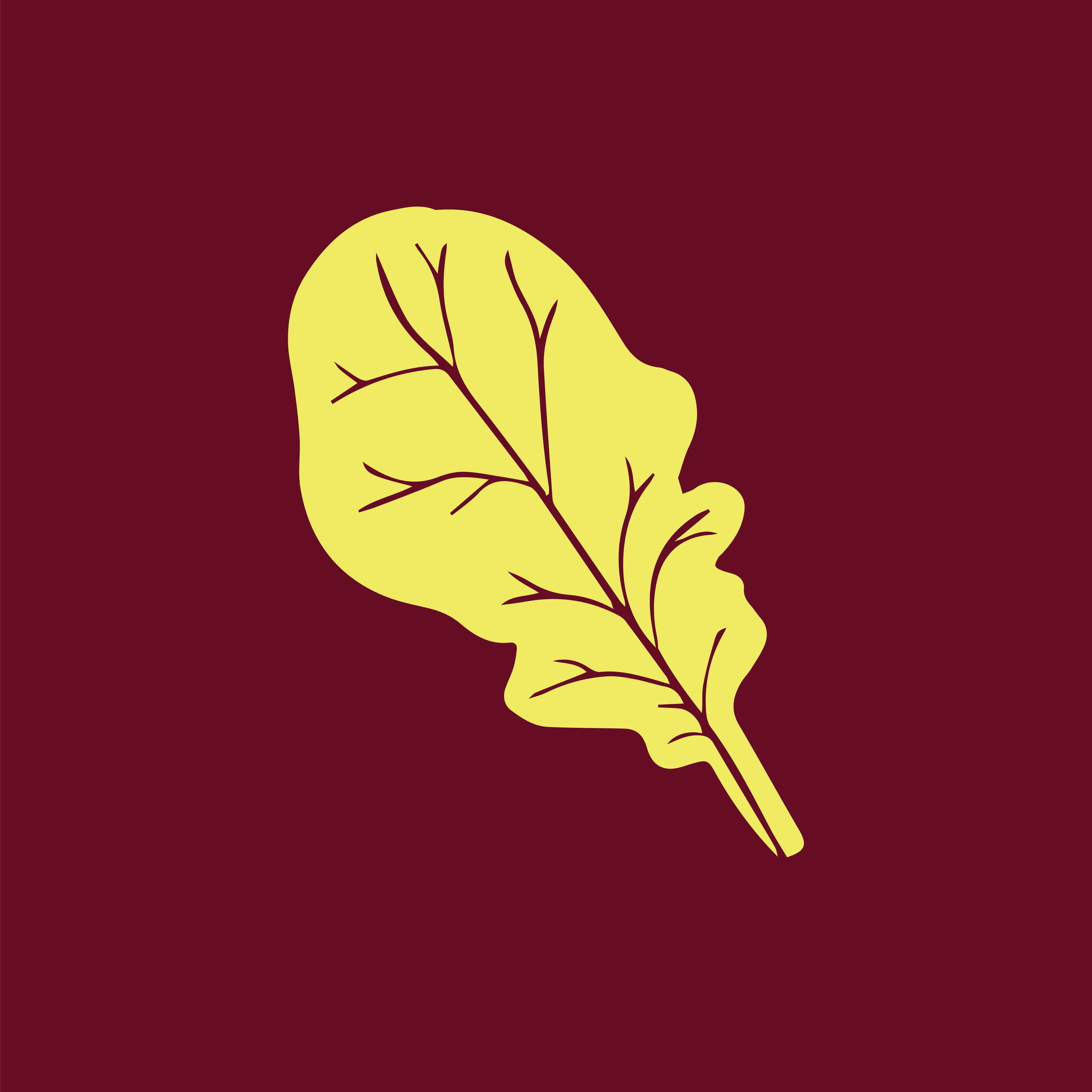 Carlas-Social-IGHighlightCover-01.png