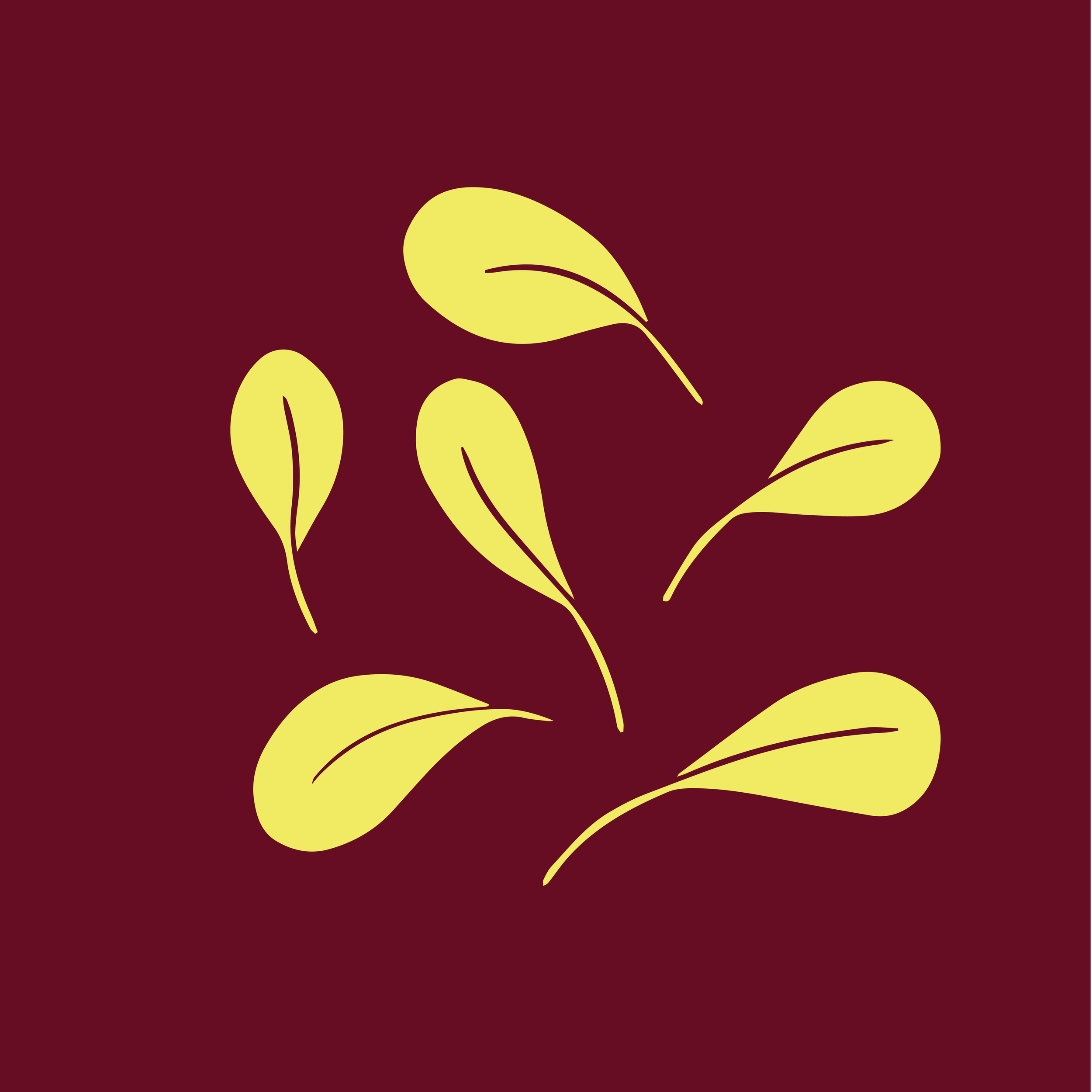Carlas-Social-IGHighlightCover-02.png