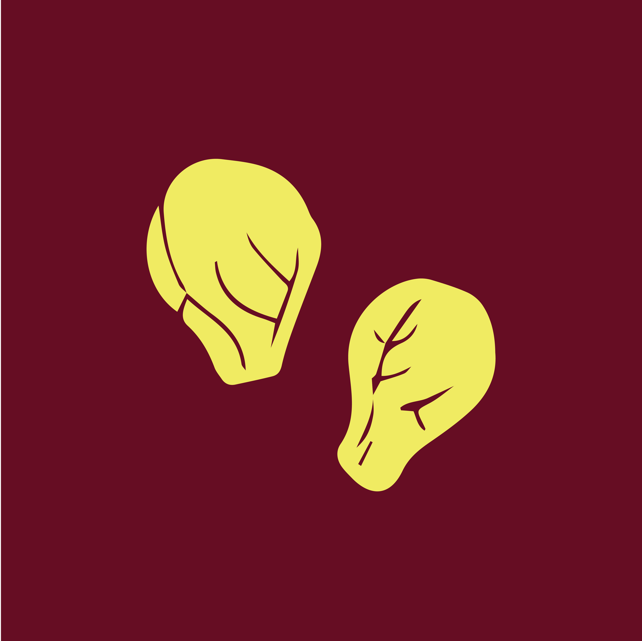Carlas-Social-IGHighlightCover-04.png