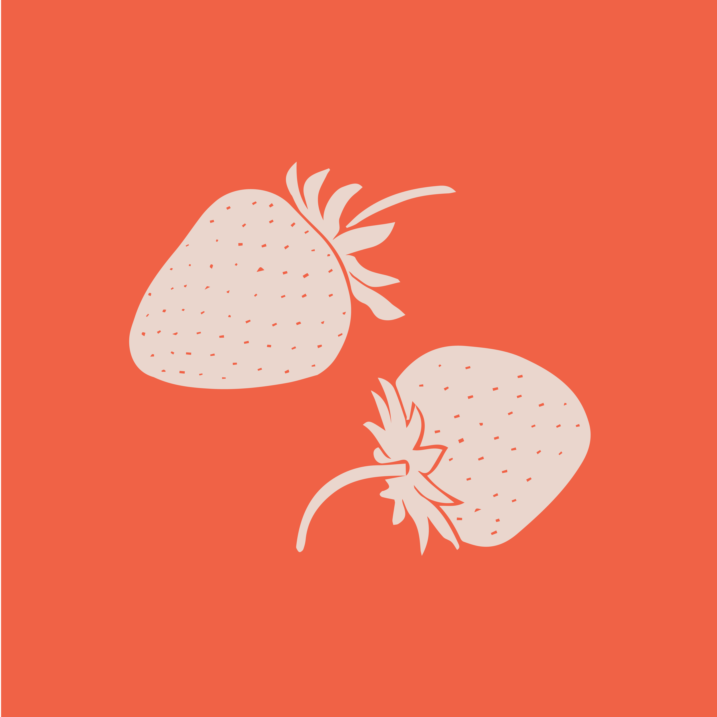 Carlas-Social-IGHighlightCover-08.png