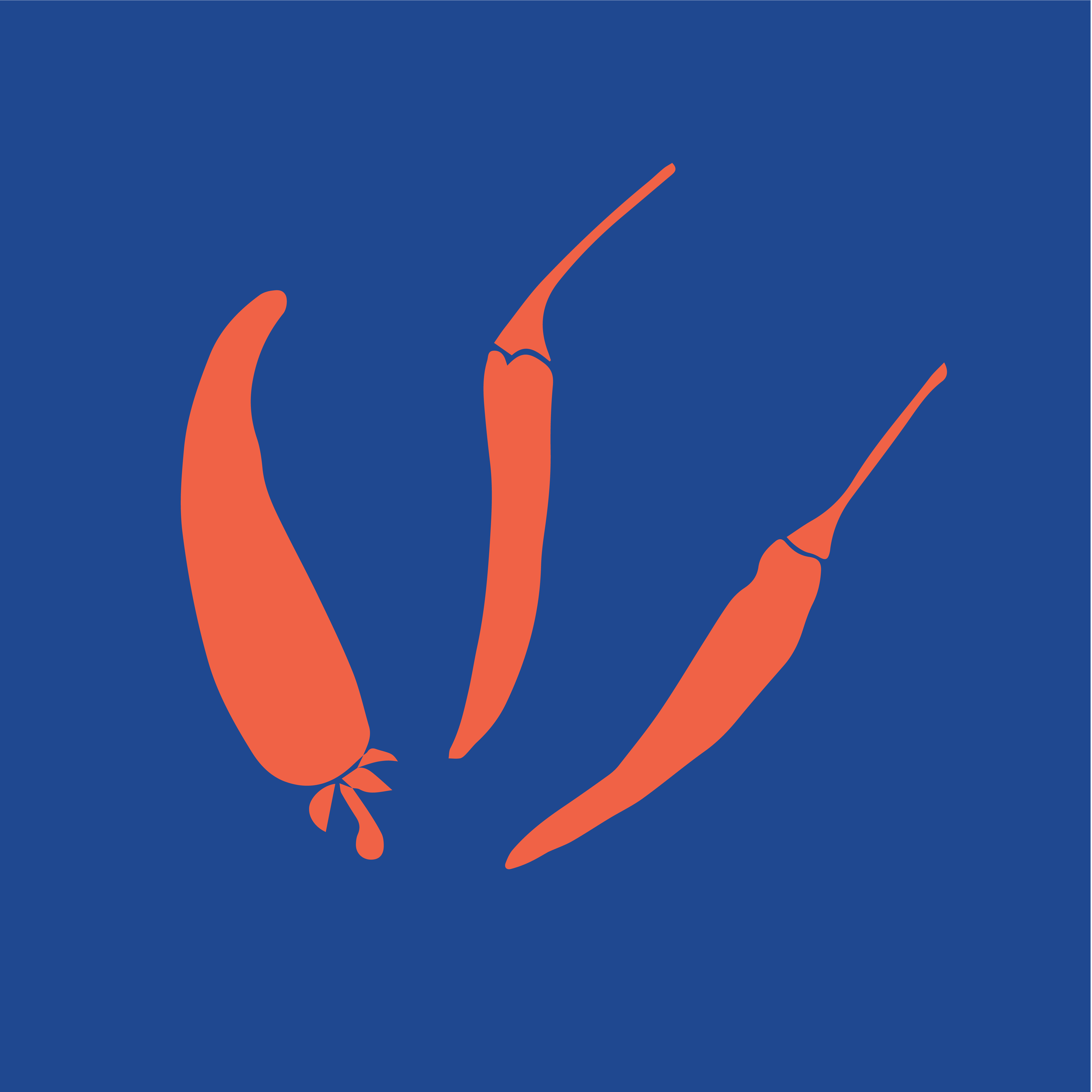 Carlas-Social-IGHighlightCover-10.png