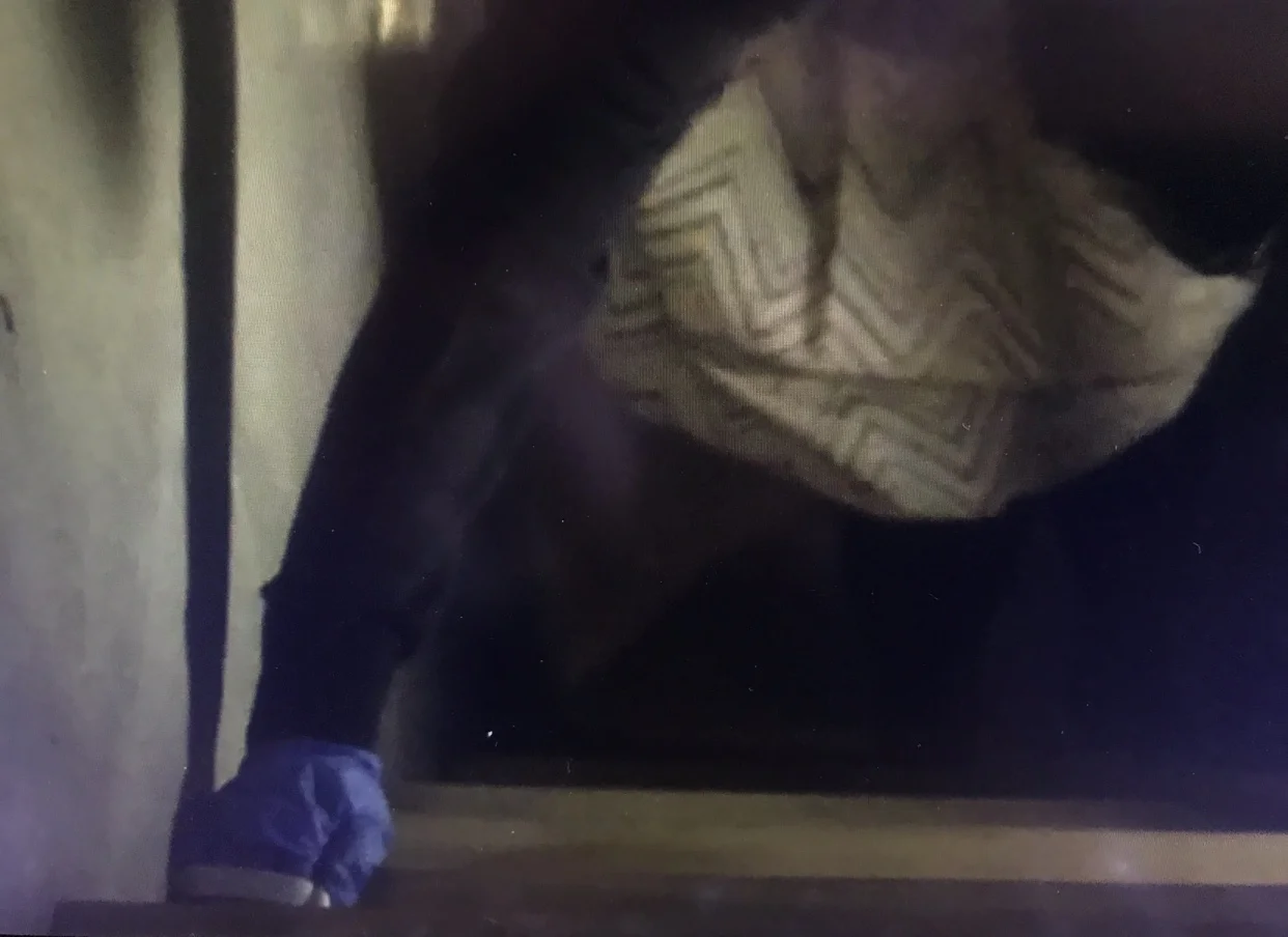 latex glove cleaning a Japanese tread