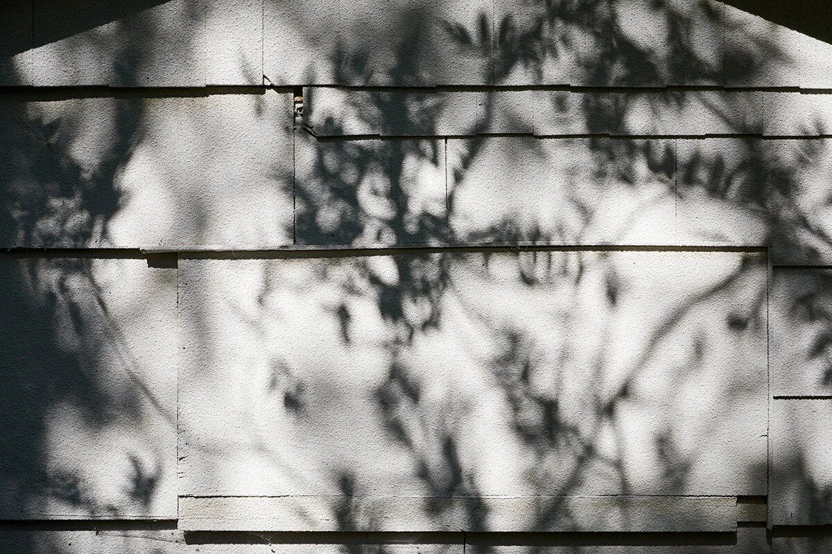 TheShed_026_lowres.jpg