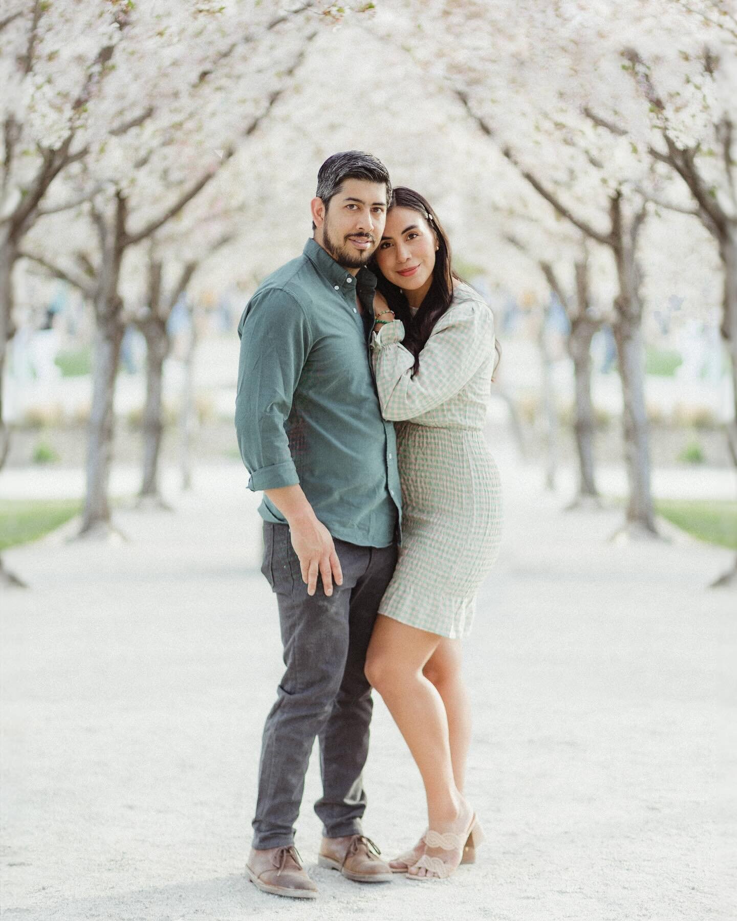 Compilation of spring pictures in Salt Lake city 🌸 #utahweddingphotographer #utahphotographer #utahstatecapitol #spring