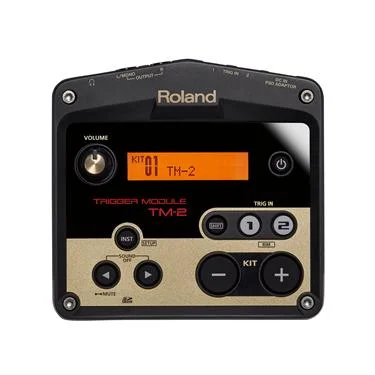 Roland TM-2