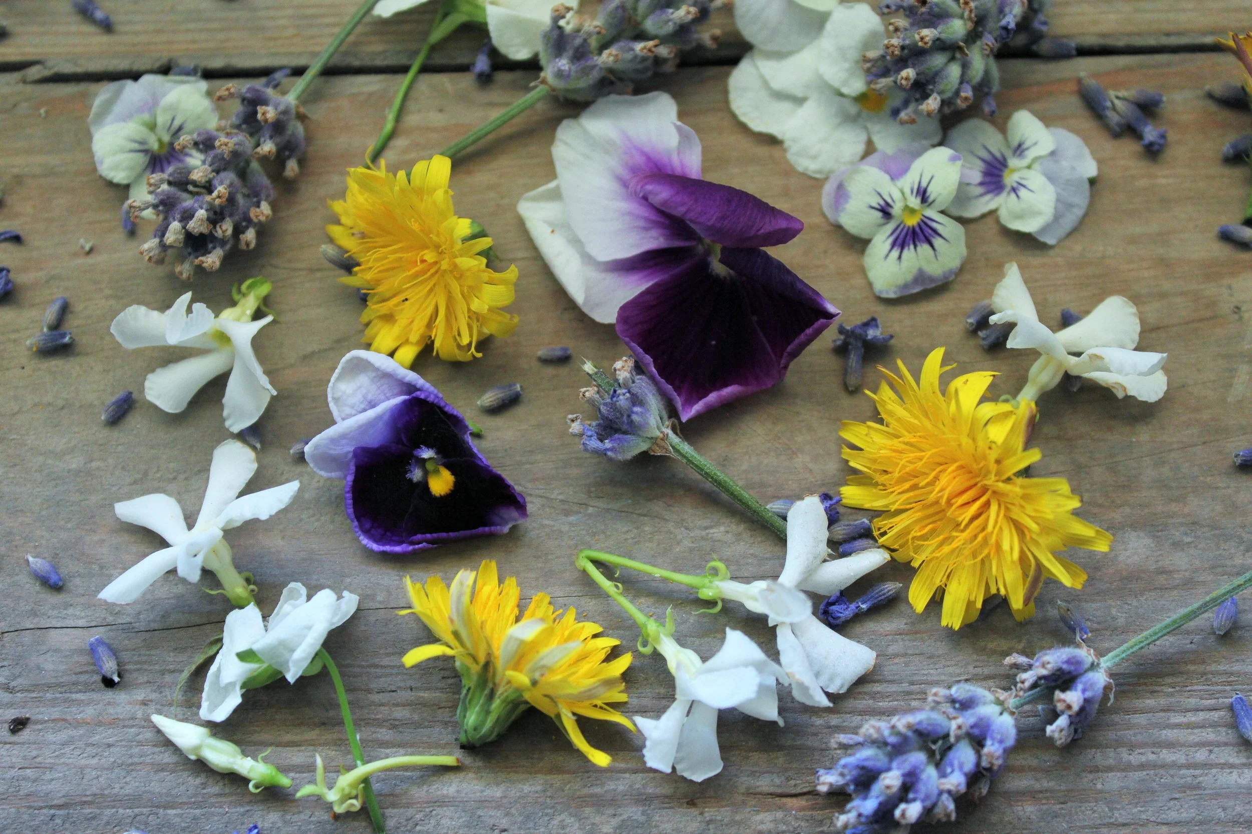 all images by Flowers and Company
