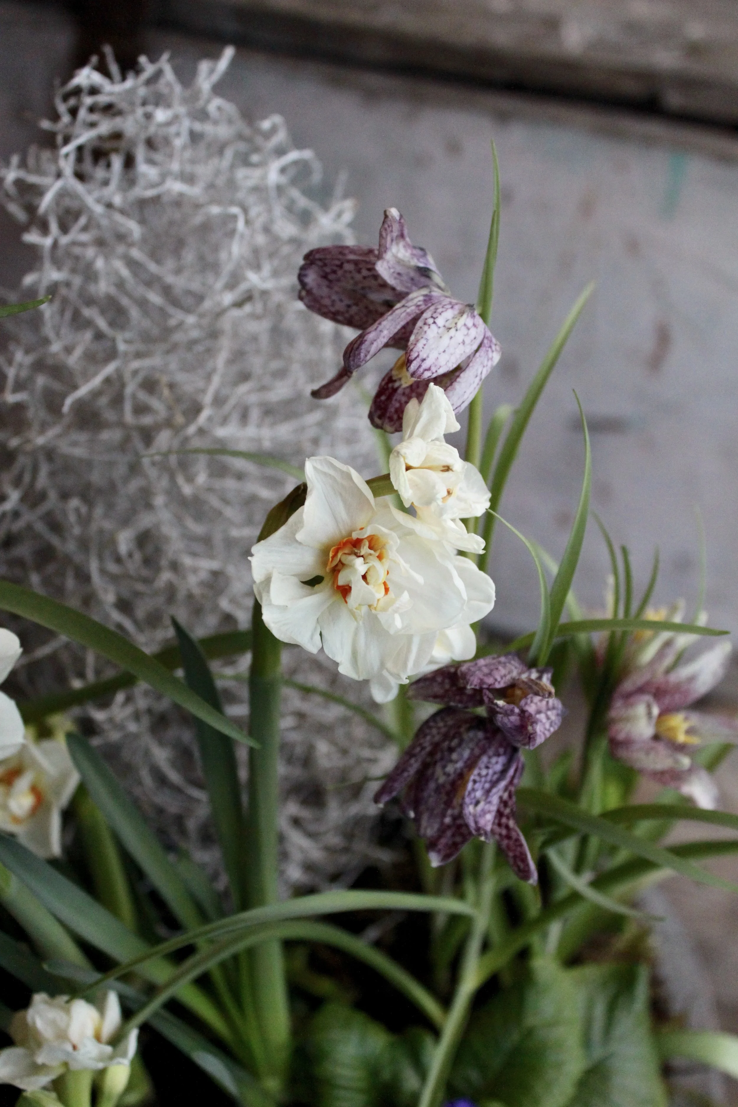 Bridal Crown