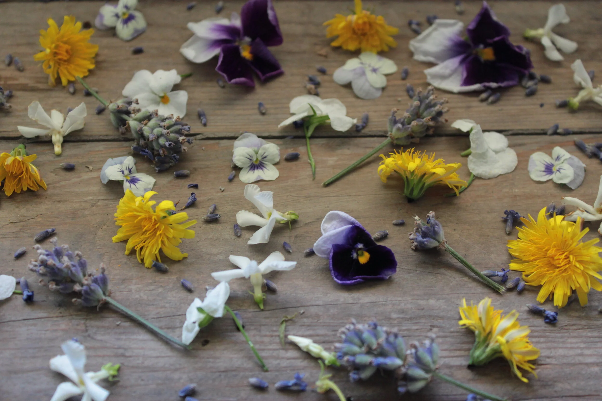  Edible Flowers in Cake Decoration