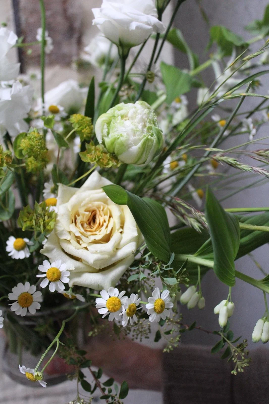 Our Year In Photos || 2024