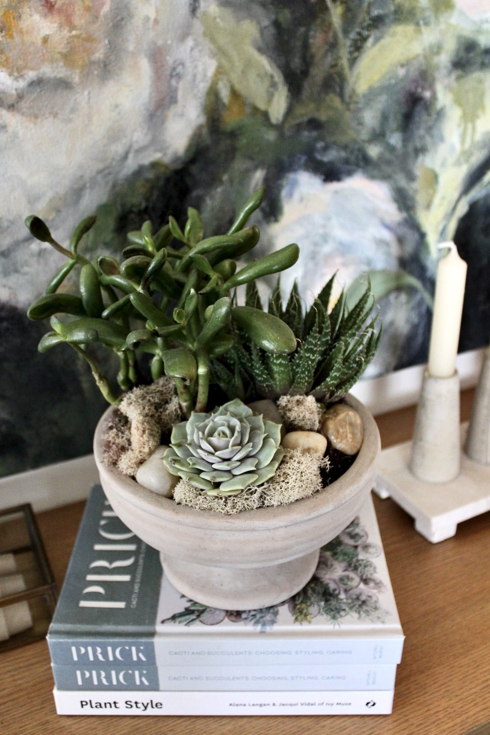 Succulents || Cacti || Air Plants  Flowers & Company