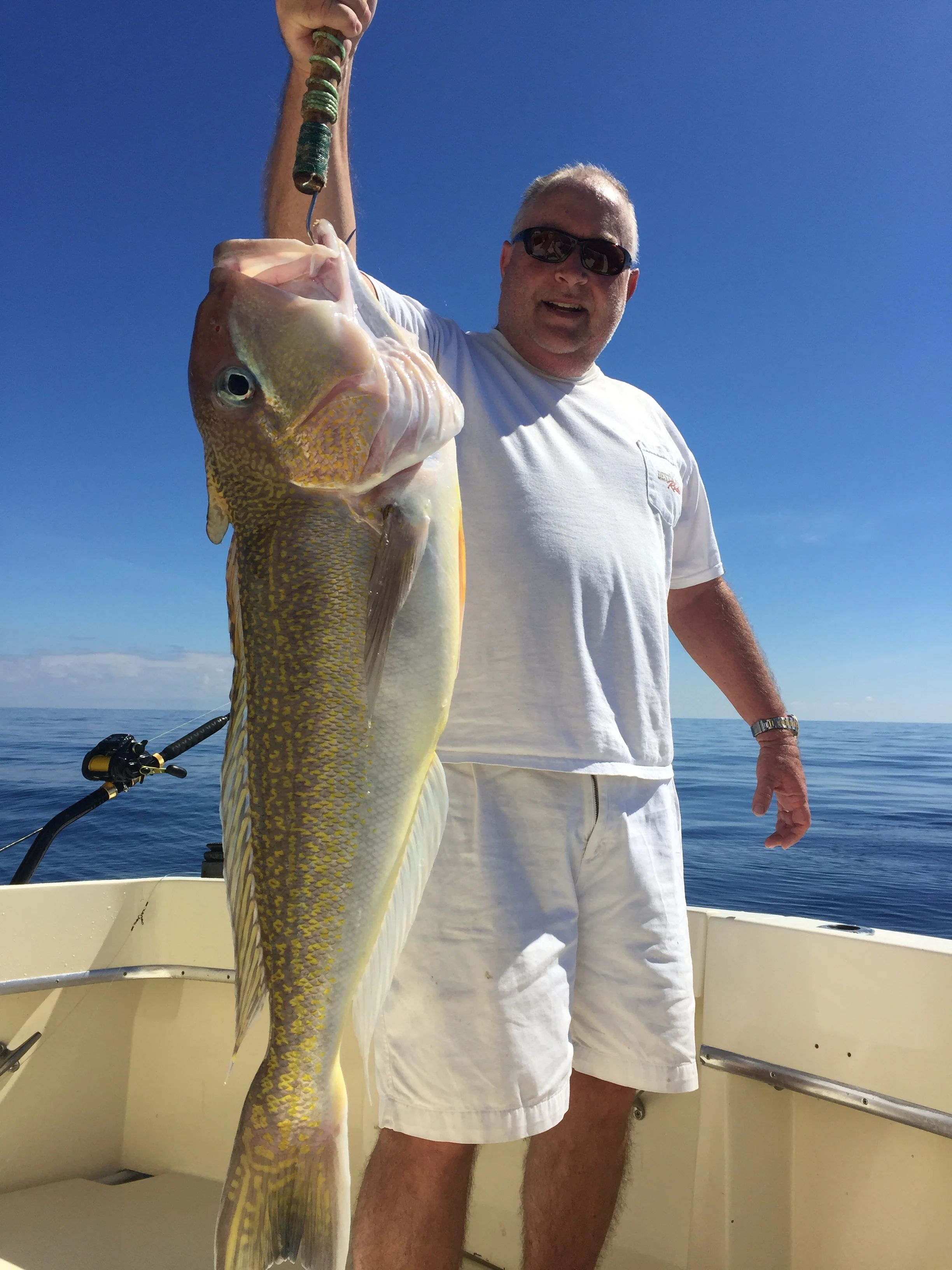 Golden Tilefish