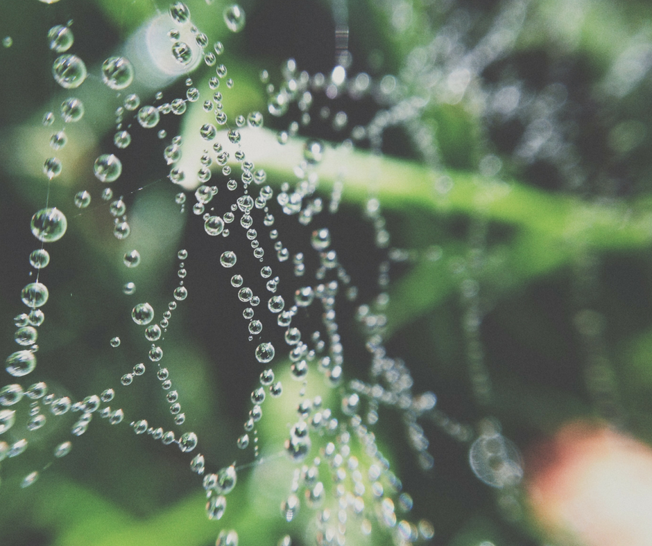 Fascia: It's role in health and cancer