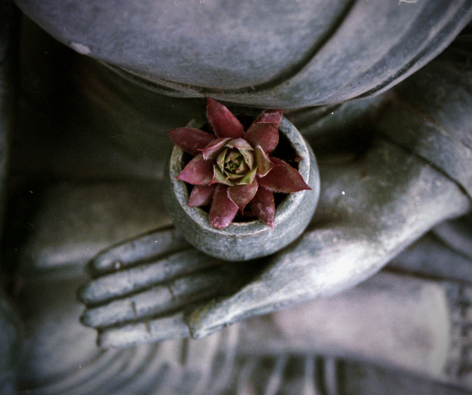 MEDITATION: TYPES, TIPS &amp; TECHNIQUES