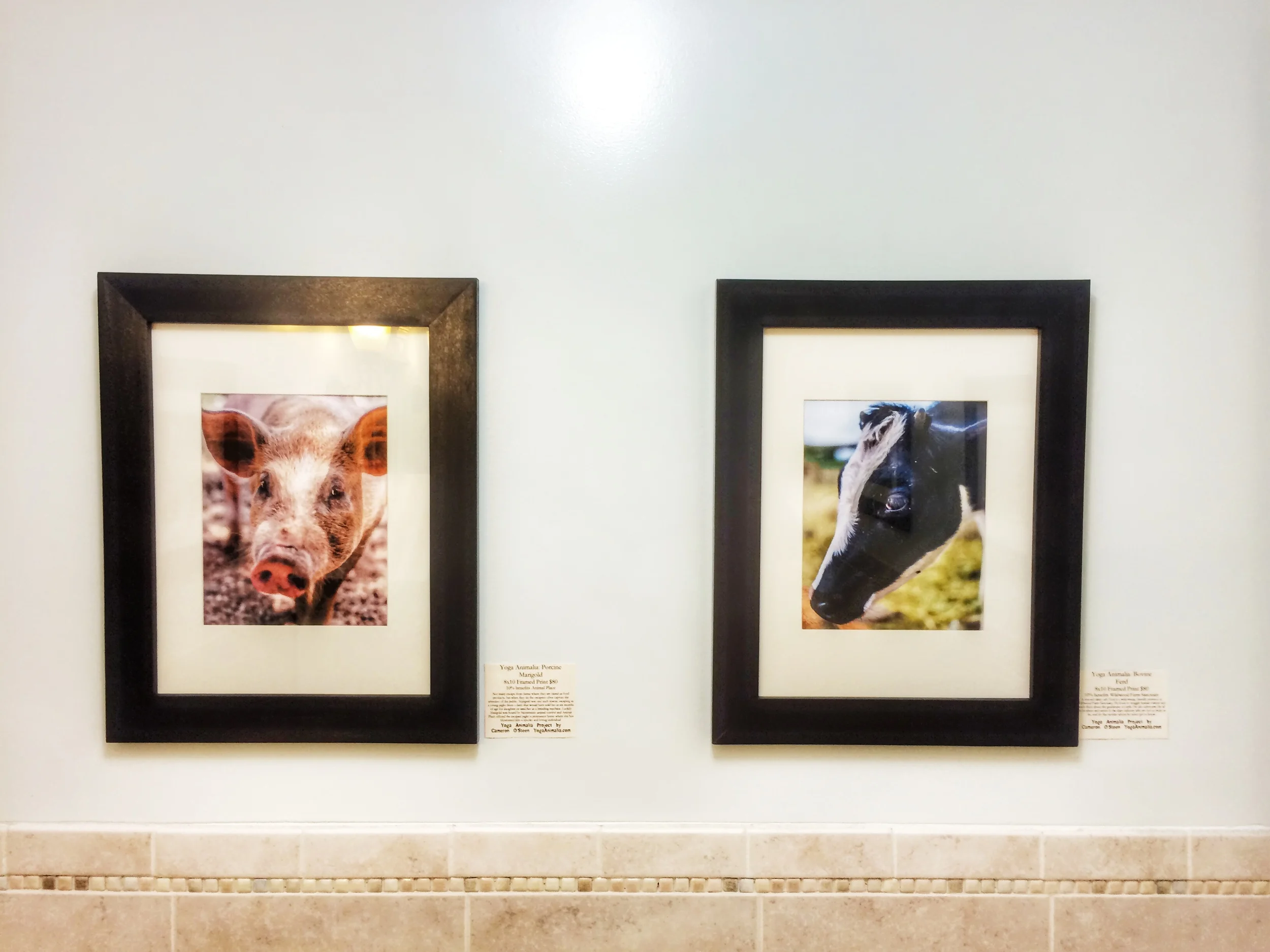 Product Pics 10-15-14-8.JPG