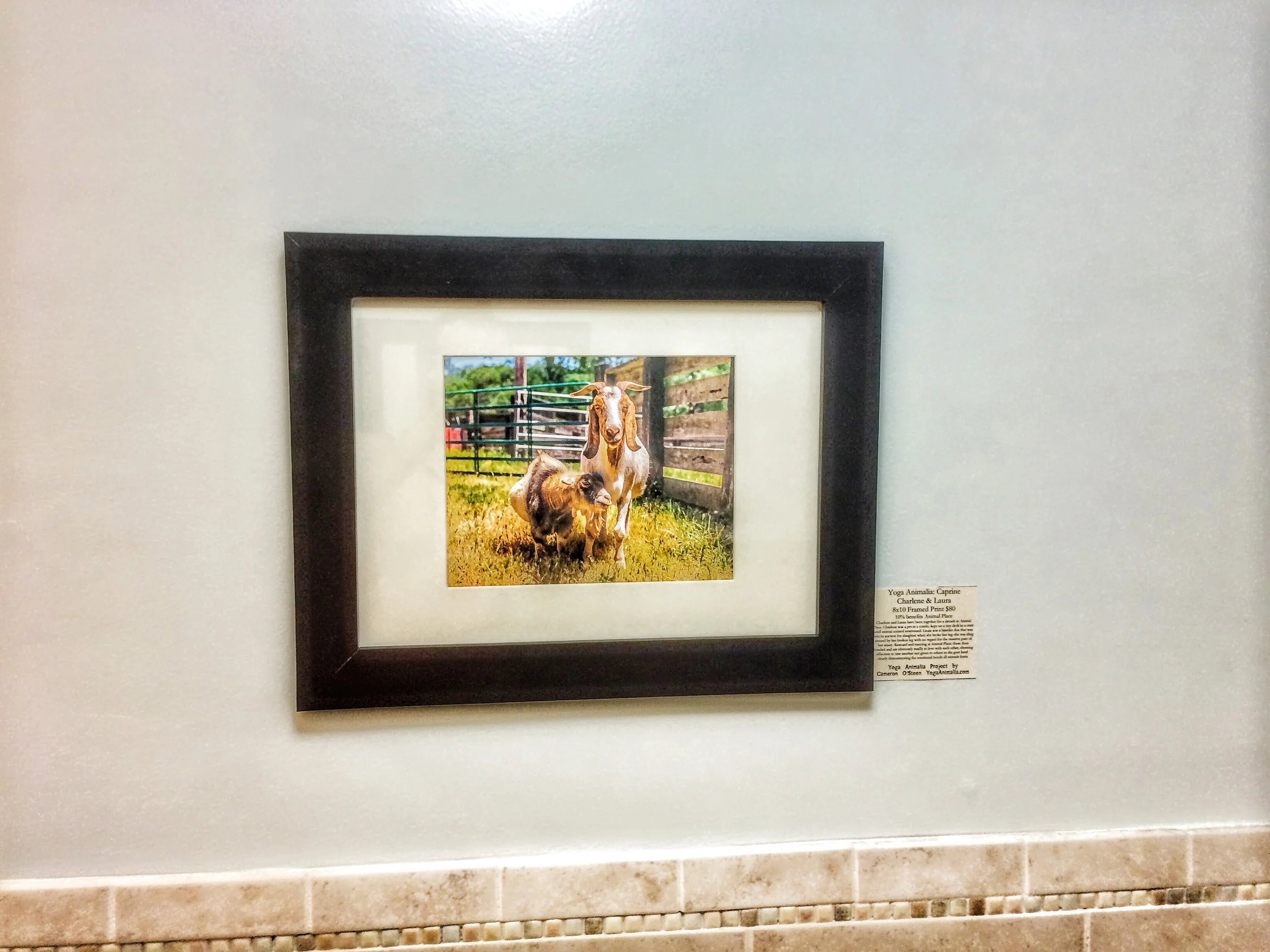 Product Pics 10-15-14-9.JPG